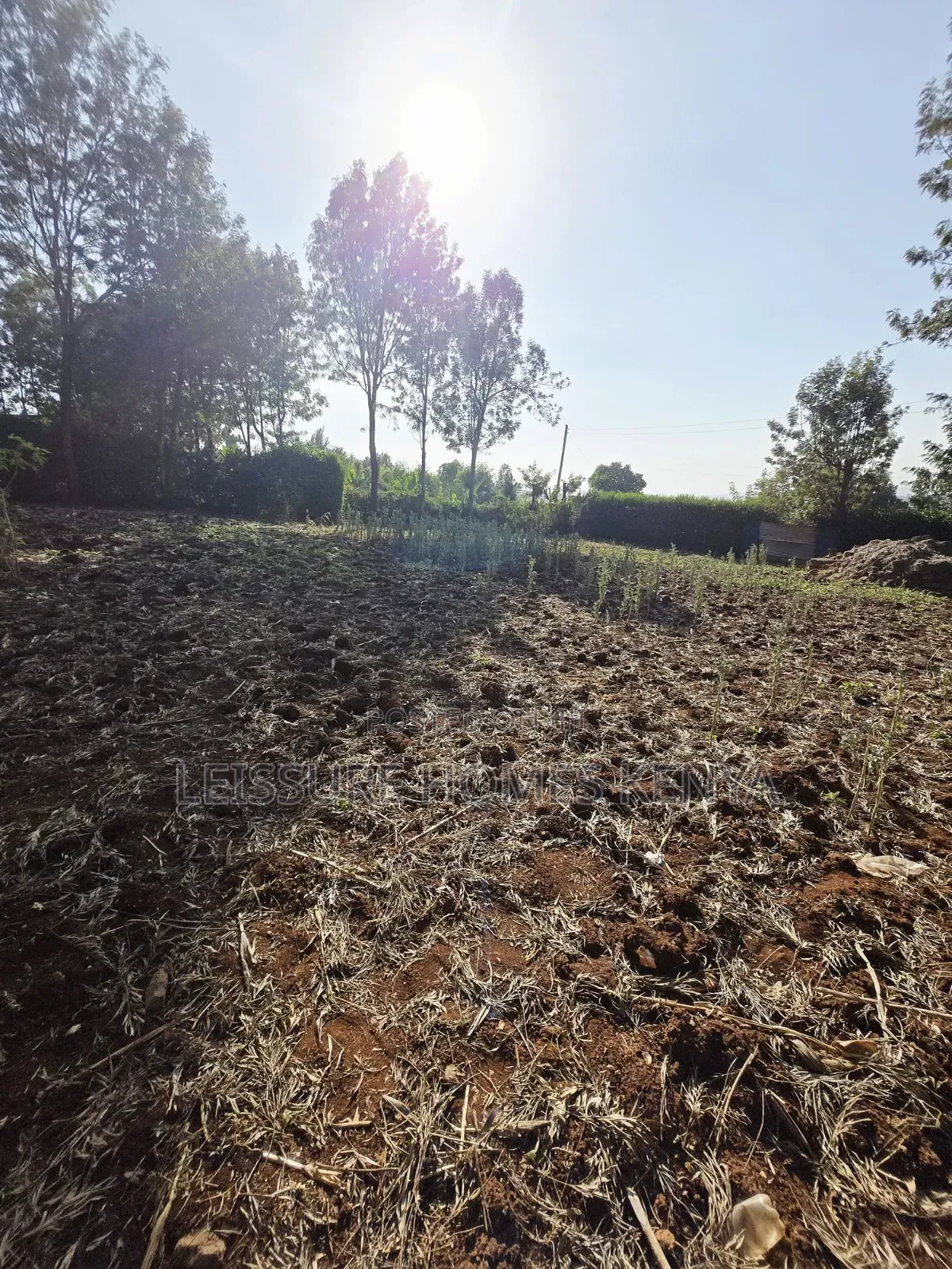 Prime Residential Plots in Ngong in Kibiku