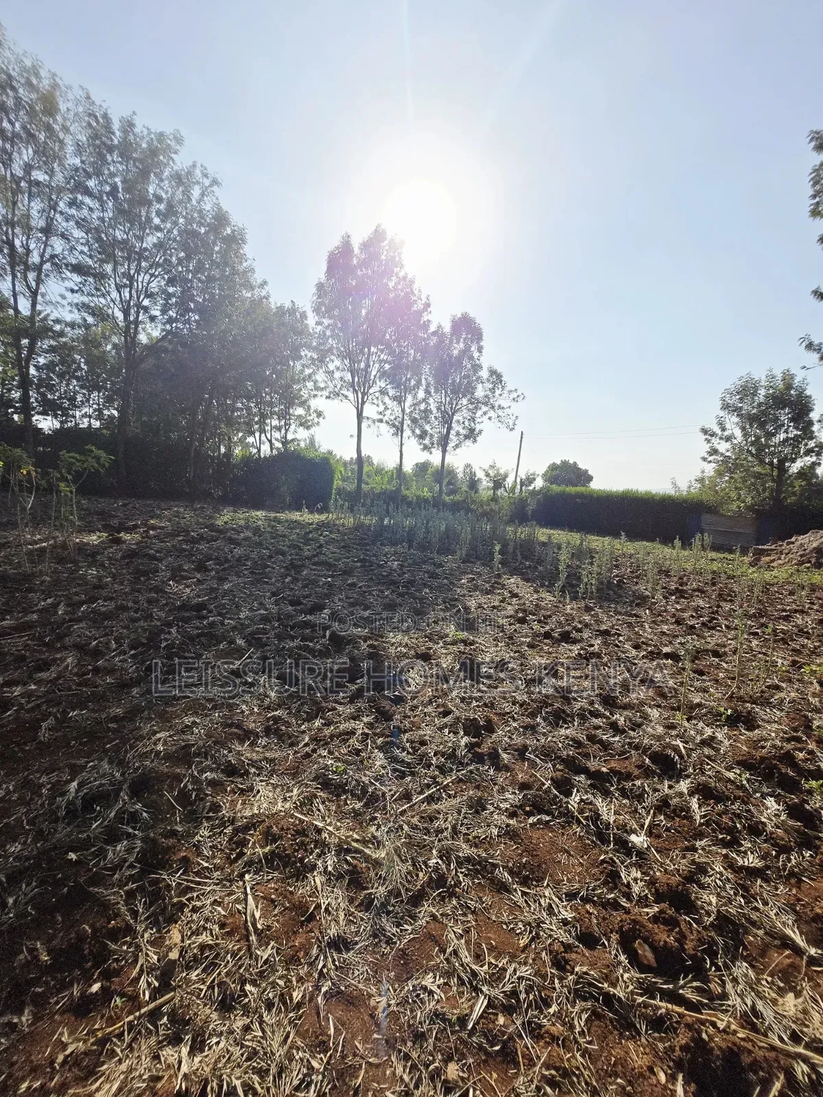 Prime Residential Plots in Ngong in Kibiku