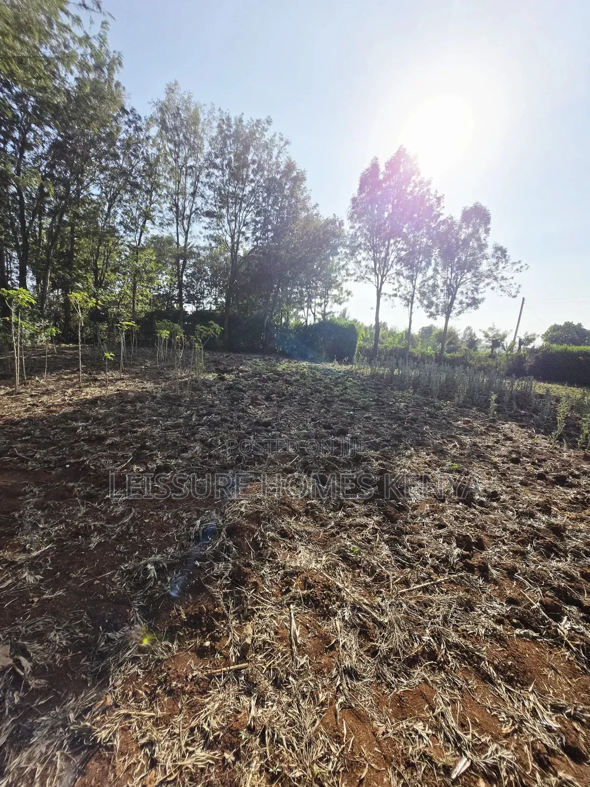 Prime Residential Plots in Ngong in Kibiku