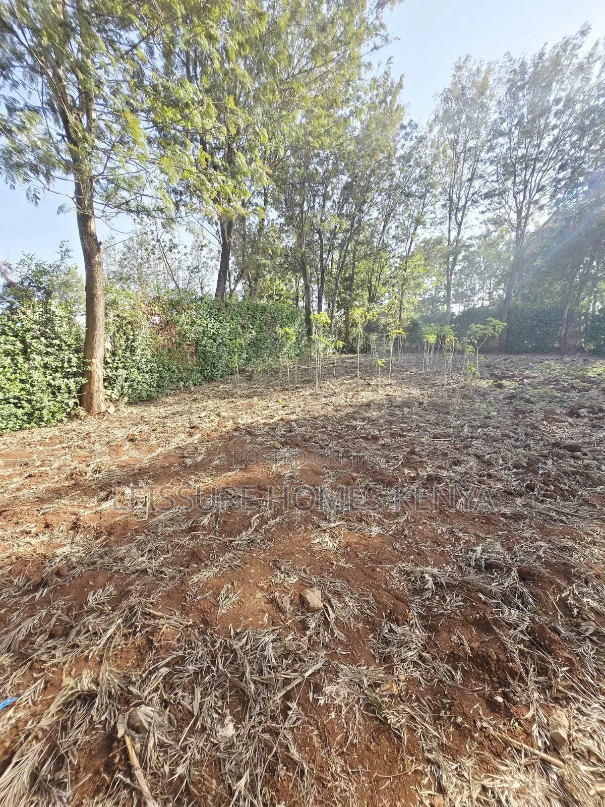Prime Residential Plots in Ngong in Kibiku