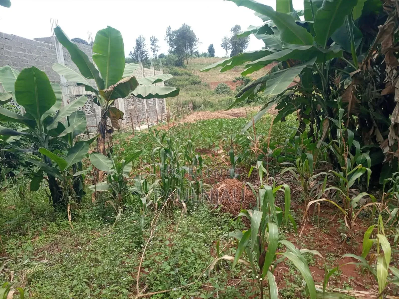 Land on Sale. At Muchatha Near Quickmart Supermarket in Muchatha