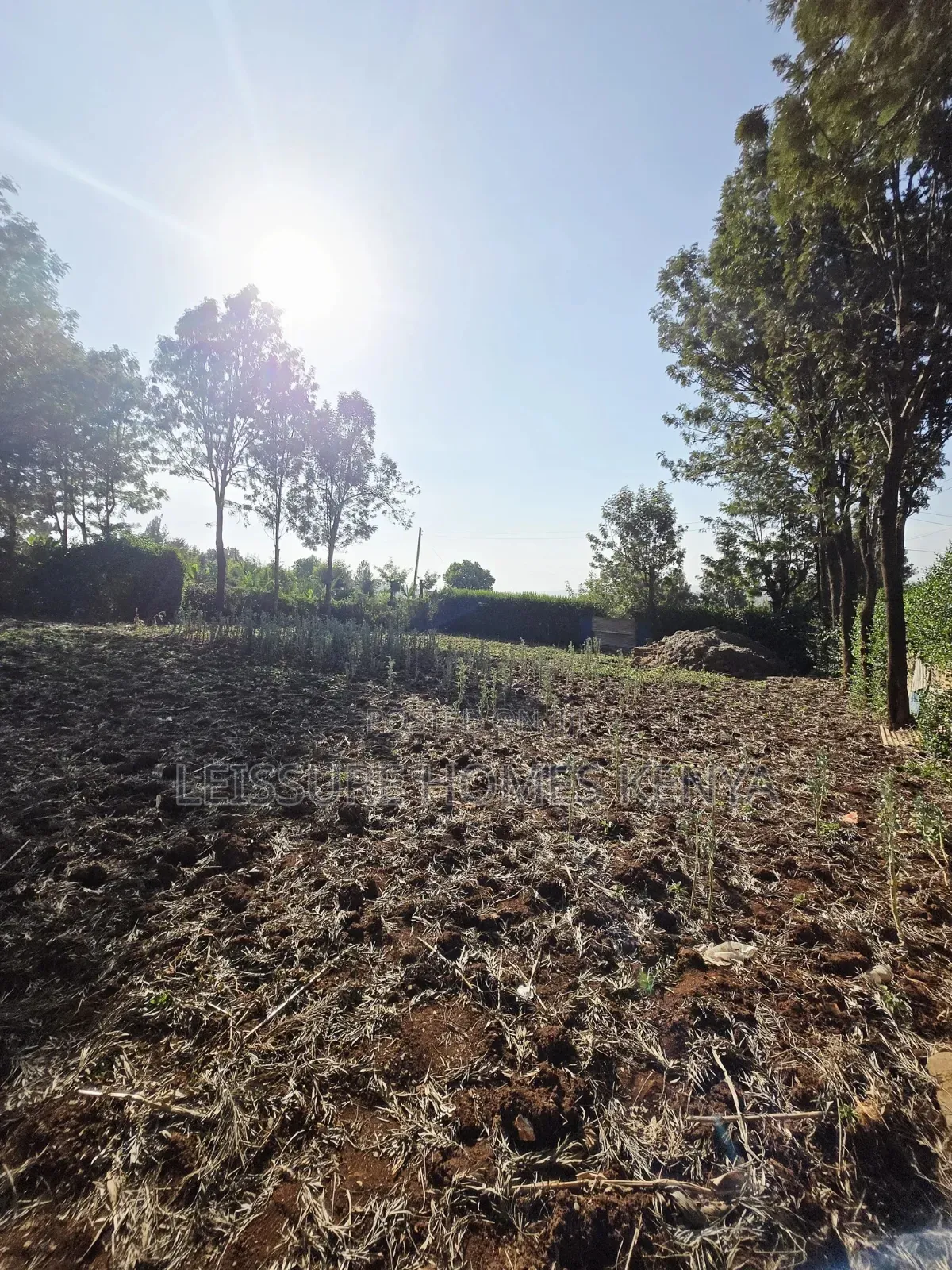 Prime Residential Plots in Kibiku, Ngong in Ngong