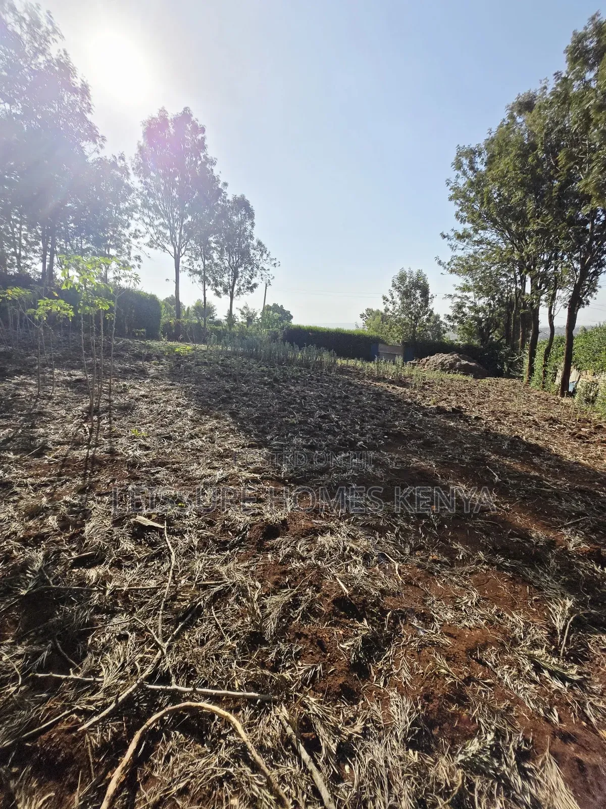 Prime Residential Plots in Kibiku, Ngong in Ngong