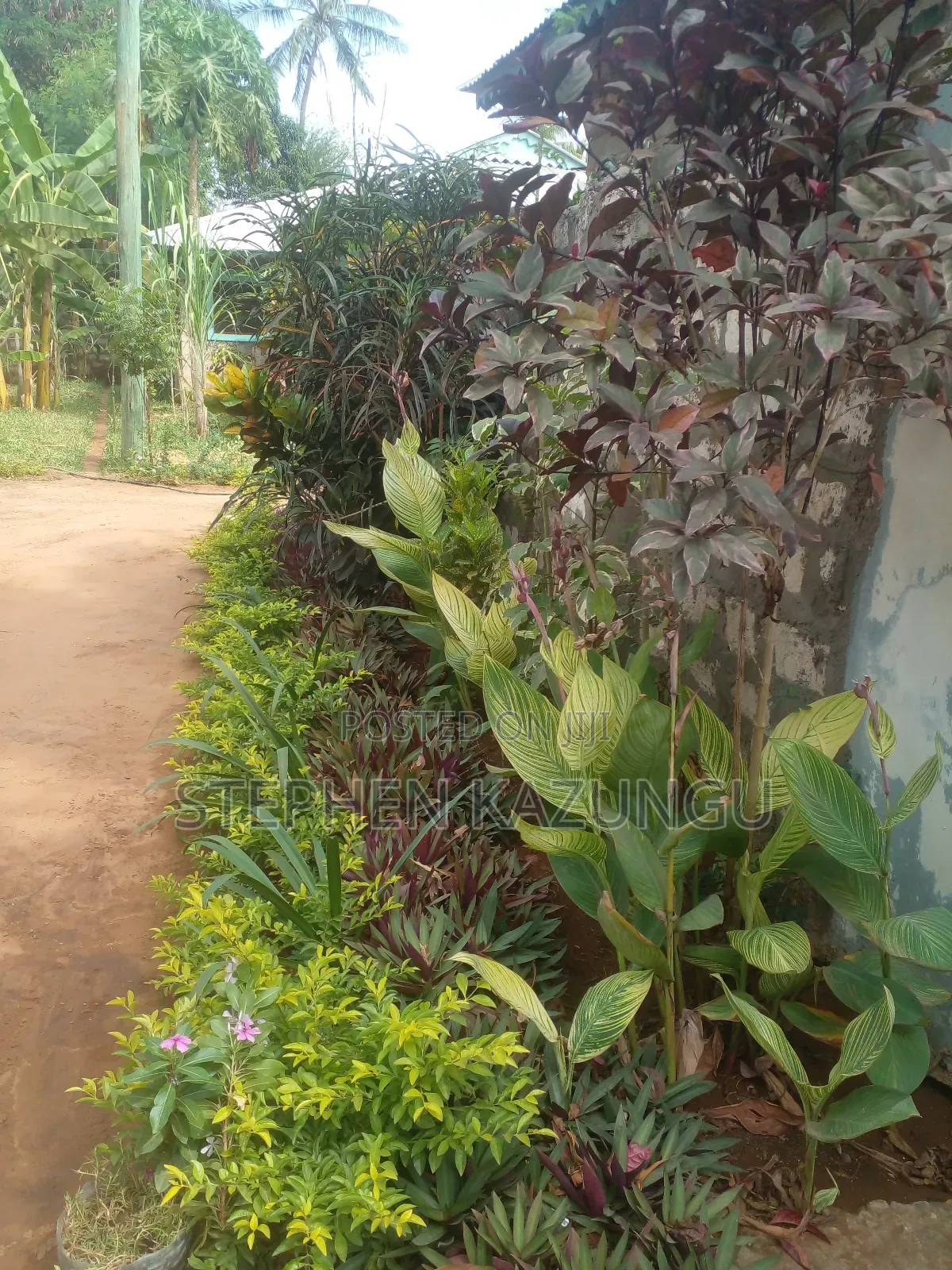 1bdrm House in Eagleways Inn, Malindi for rent in Malindi