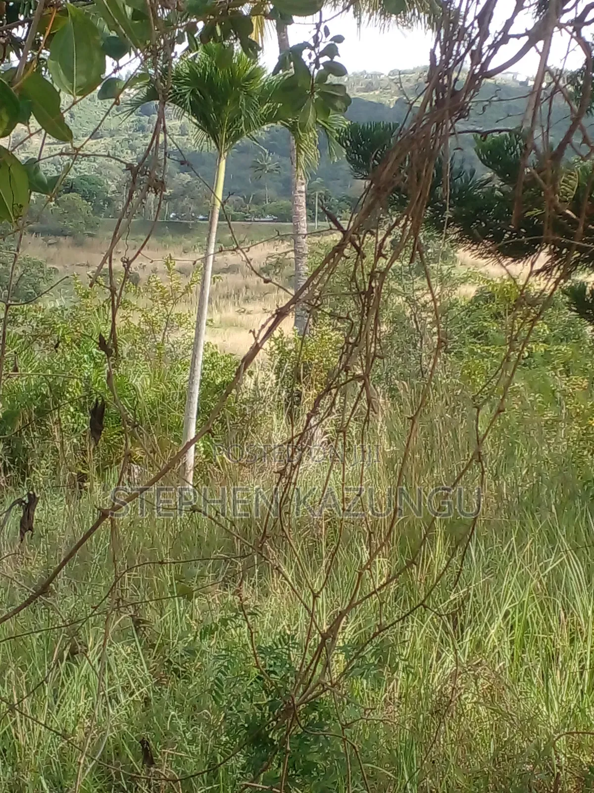 5 Acres of Land on Sale in Kwale After Tsimba Town. in Tsimba Golini