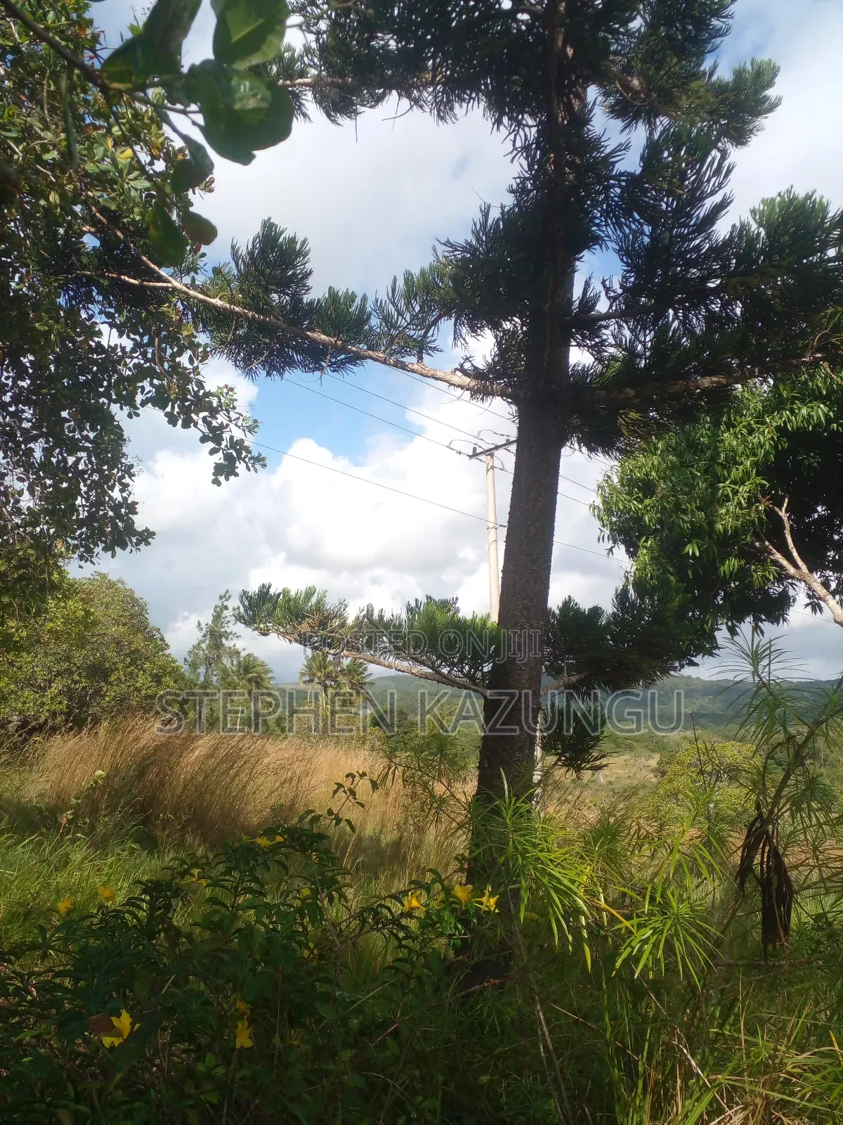 5 Acres of Land on Sale in Kwale After Tsimba Town. in Tsimba Golini