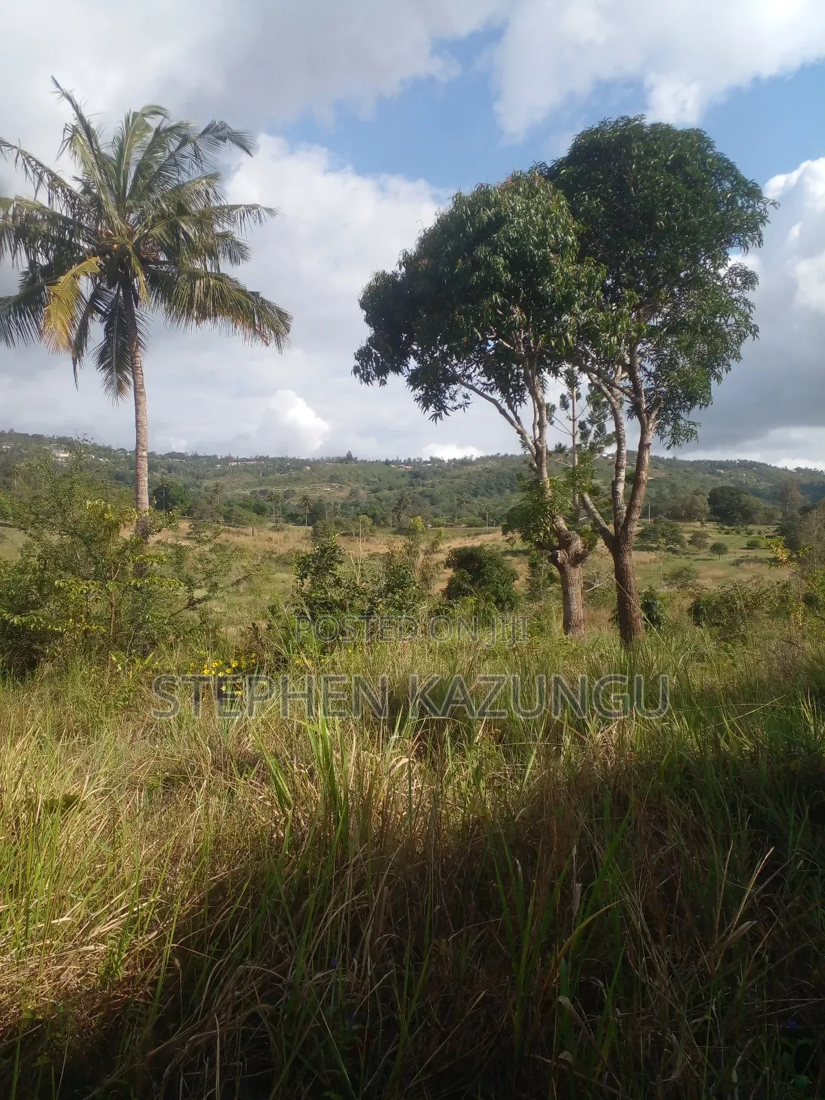 5 Acres of Land on Sale in Kwale After Tsimba Town. in Tsimba Golini