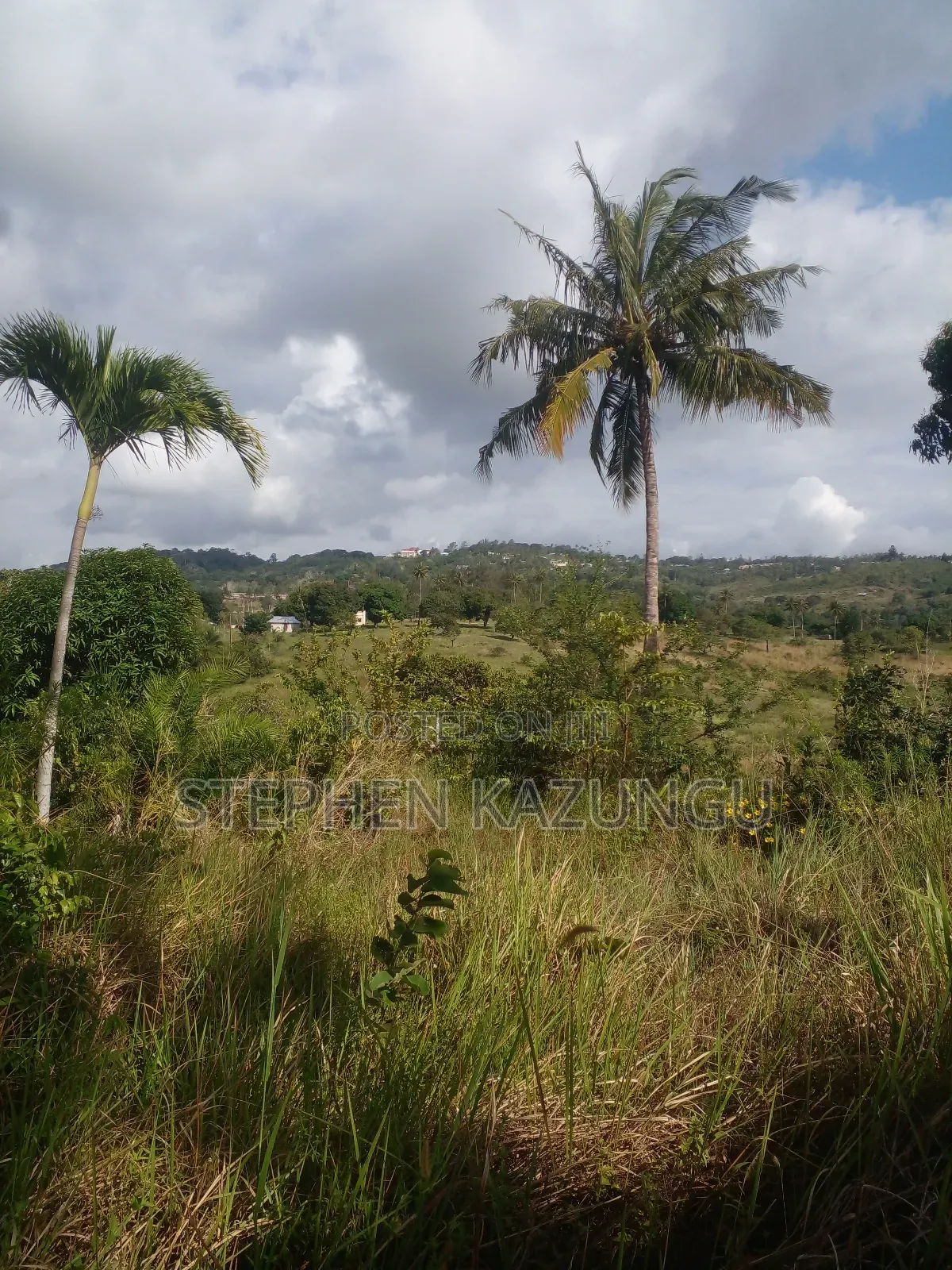 5 Acres of Land on Sale in Kwale After Tsimba Town. in Tsimba Golini