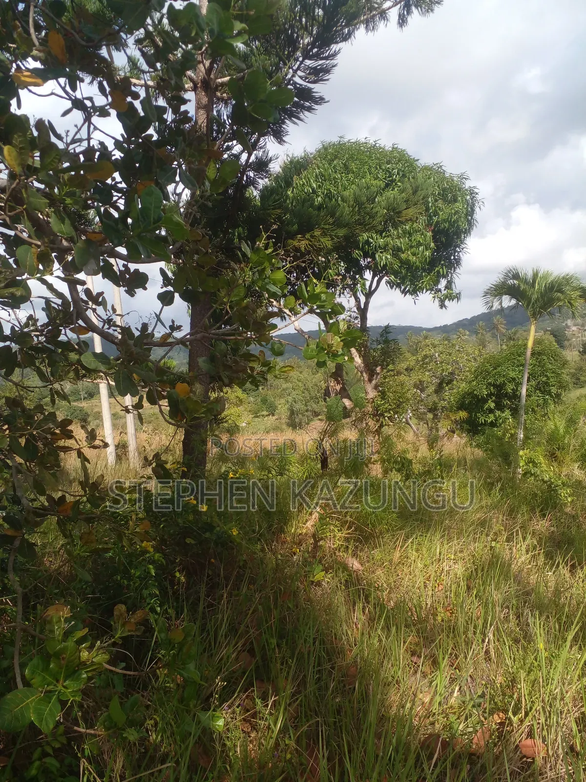 5 Acres of Land on Sale in Kwale After Tsimba Town. in Tsimba Golini