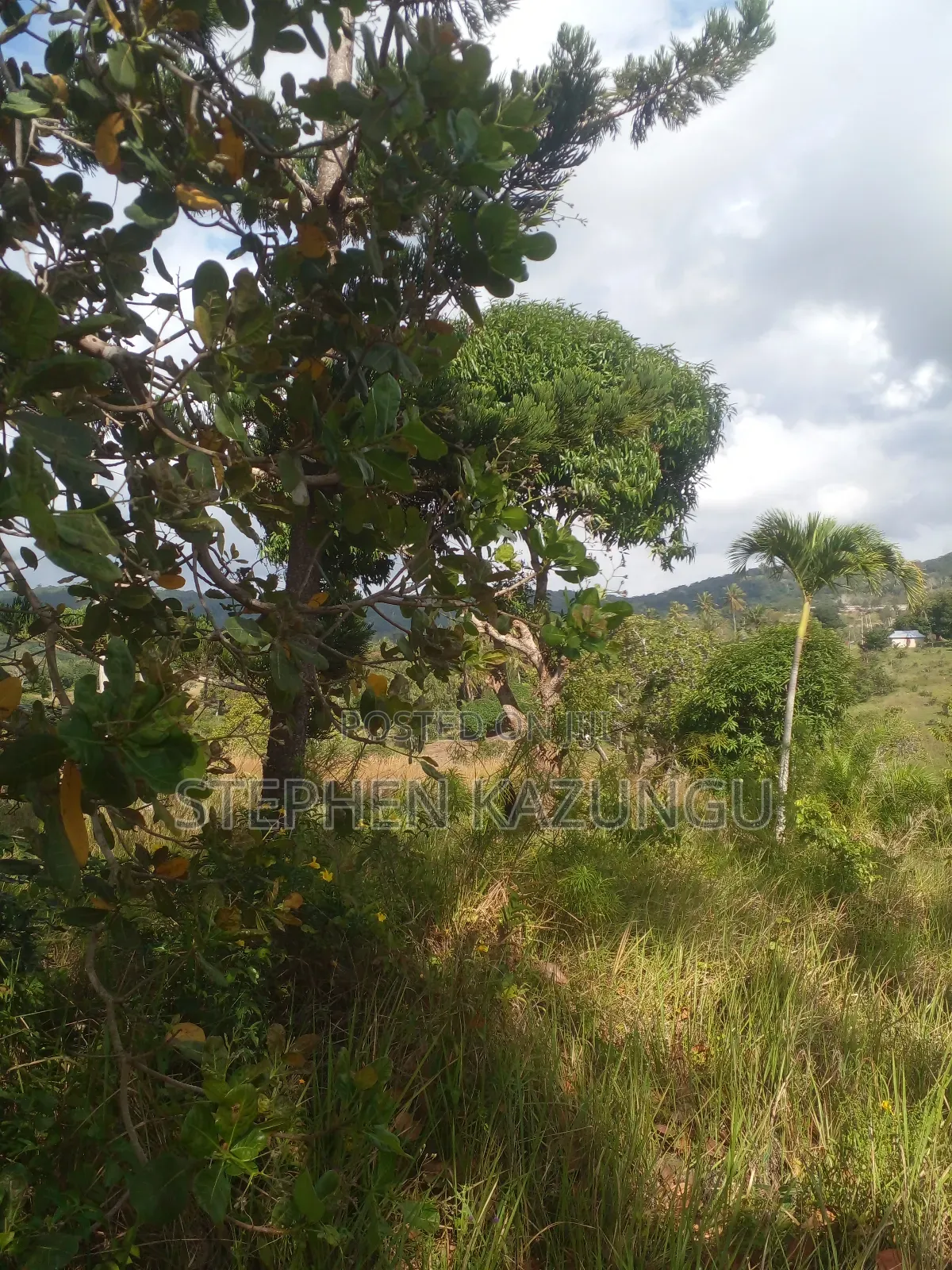 5 Acres of Land on Sale in Kwale After Tsimba Town. in Tsimba Golini