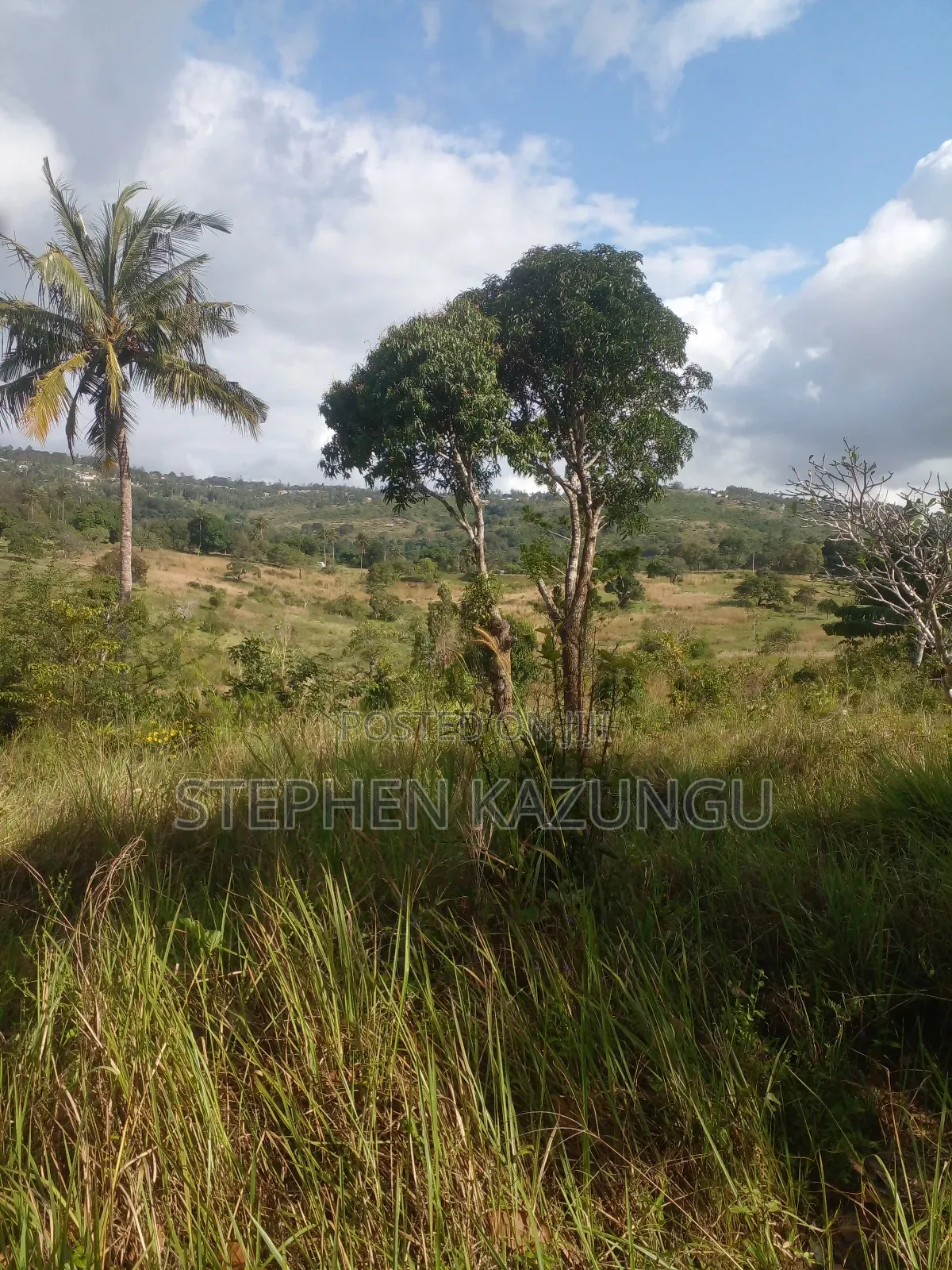 5 Acres of Land on Sale in Kwale After Tsimba Town. in Tsimba Golini