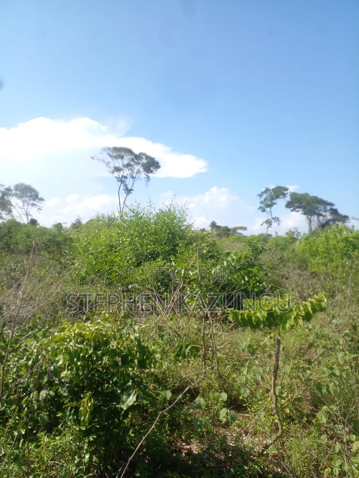 21 Acres of Land Near to River Galana, in Singwaya. in Malindi