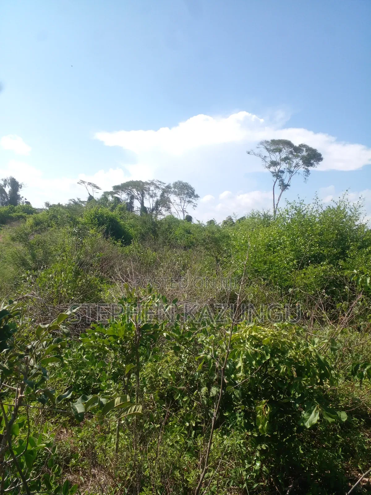 21 Acres of Land Near to River Galana, in Singwaya. in Malindi