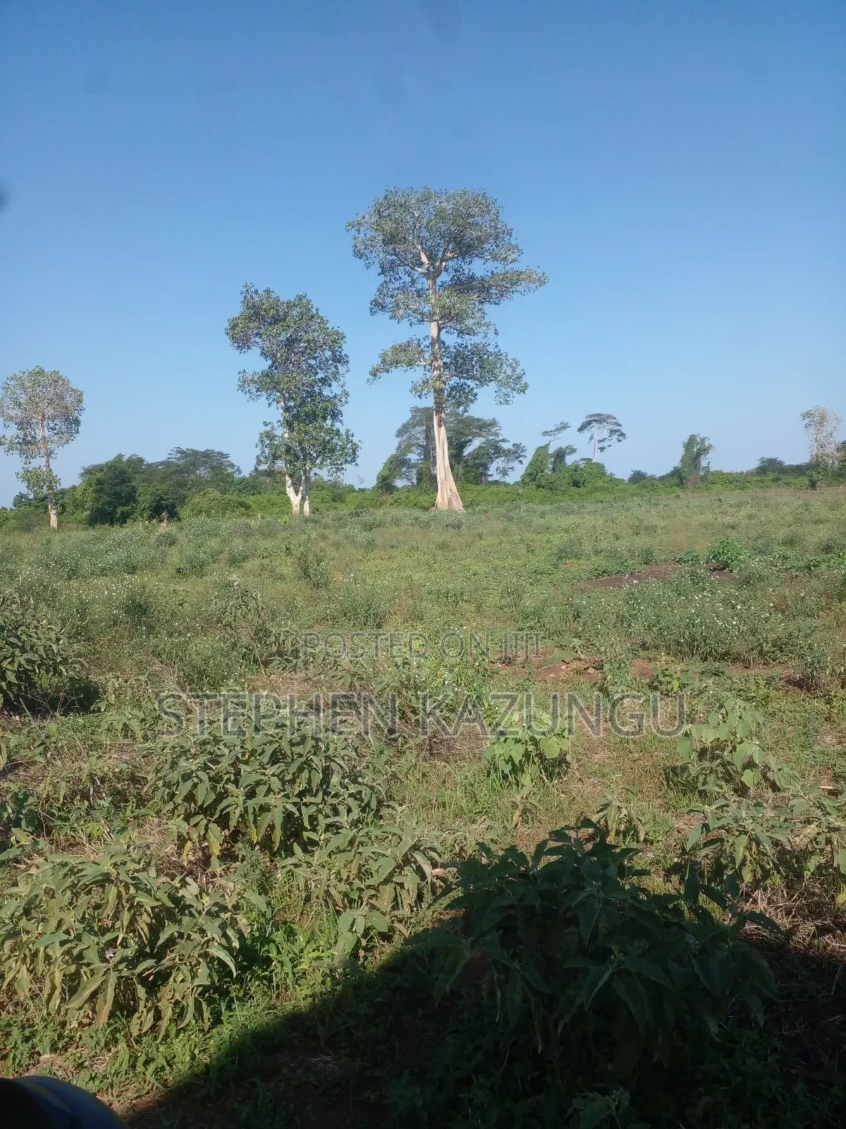 21 Acres of Land Near to River Galana, in Singwaya. in Malindi