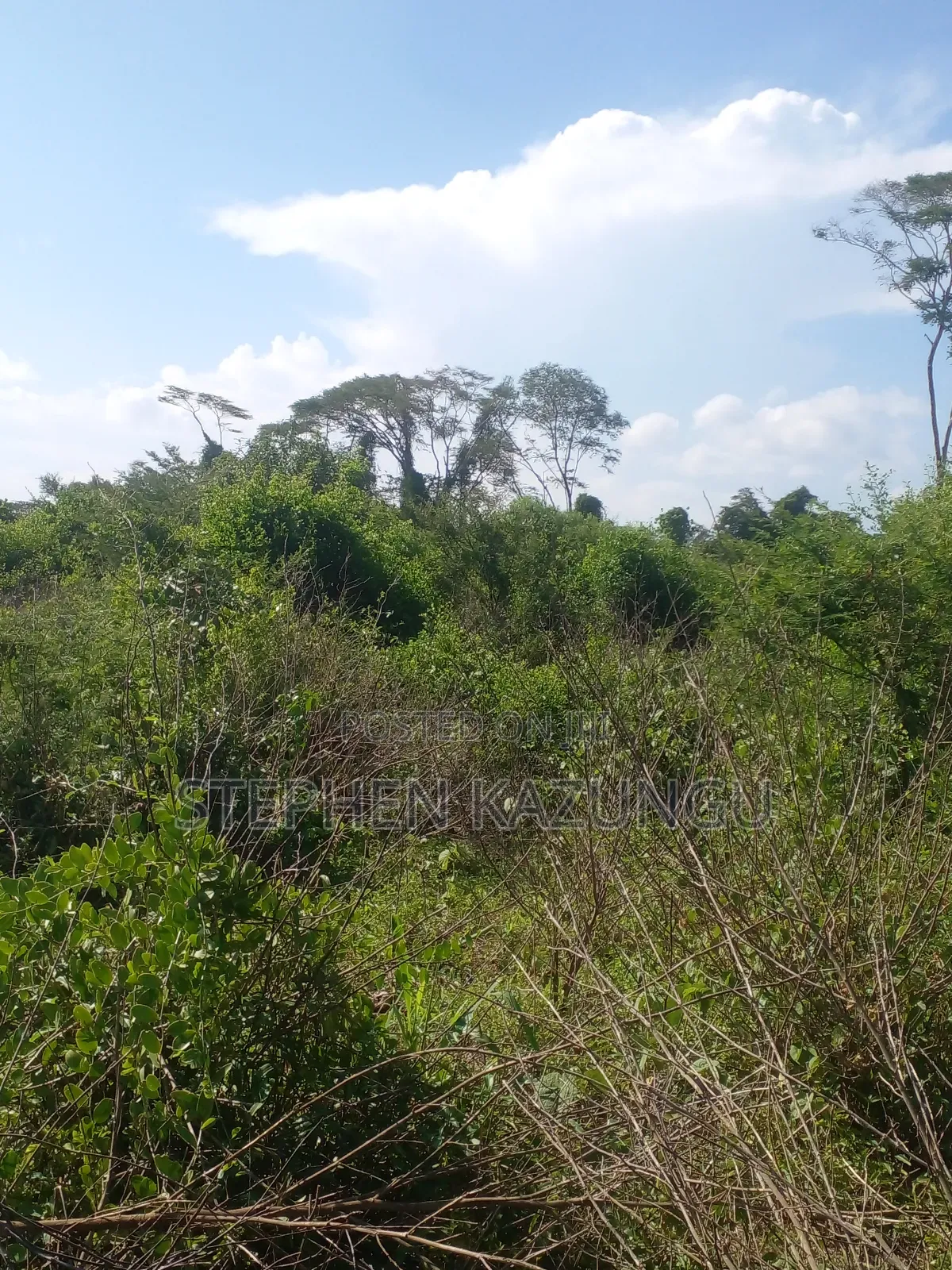 21 Acres of Land Near to River Galana, in Singwaya. in Malindi