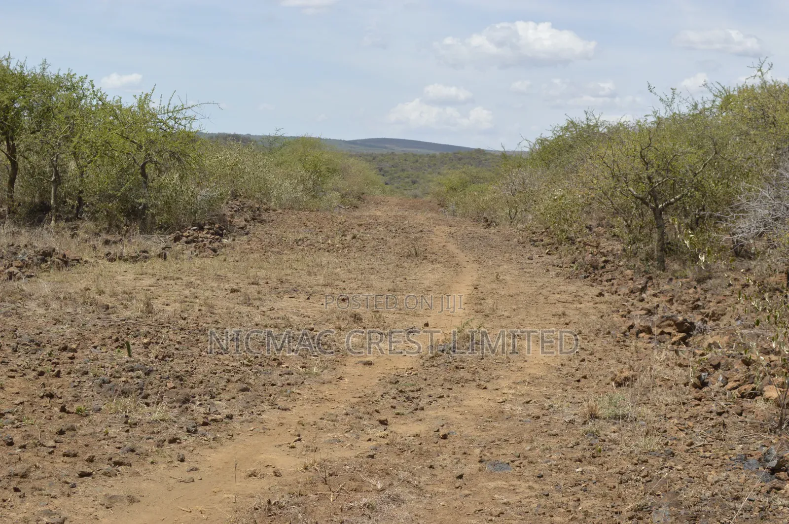 Crazy Offer! in Ewaso Kendong