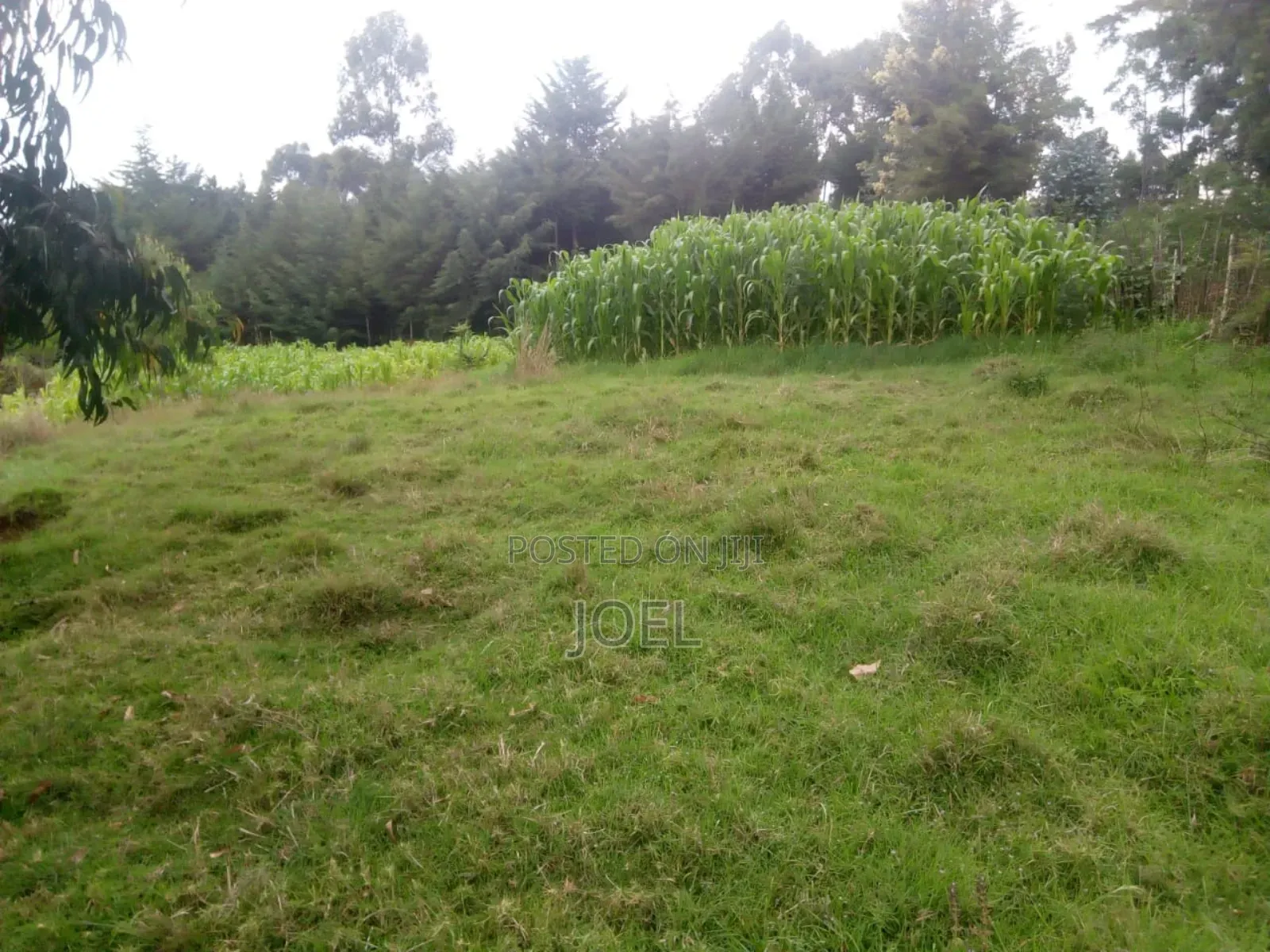 Isinya 3 Acres Land in Isinya