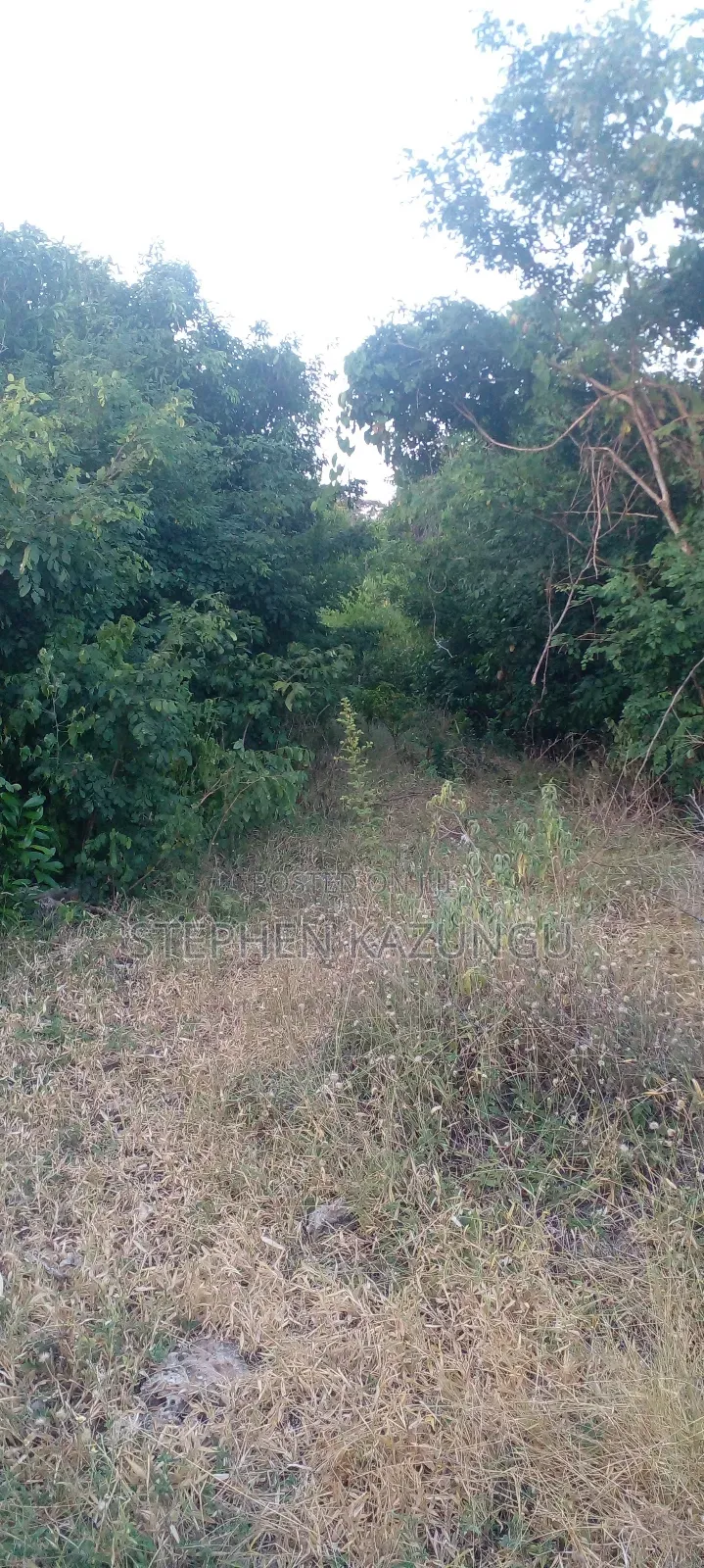 Galu Beach Plot 3.5 Acres on Sale. Close to the Cool Kaya Forest. in Ukunda
