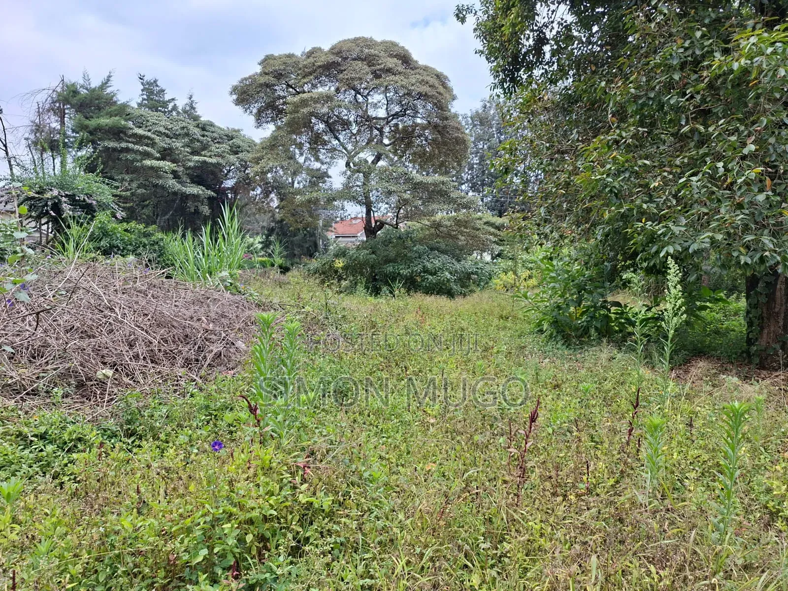 Valley View Estate Kiambu Road Opposite Kist Prime 1/2 Ac in Kahawa Sukari