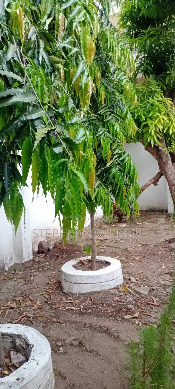 Furnished 3bdrm House in Private Home Near, Ukunda for sale in Ukunda
