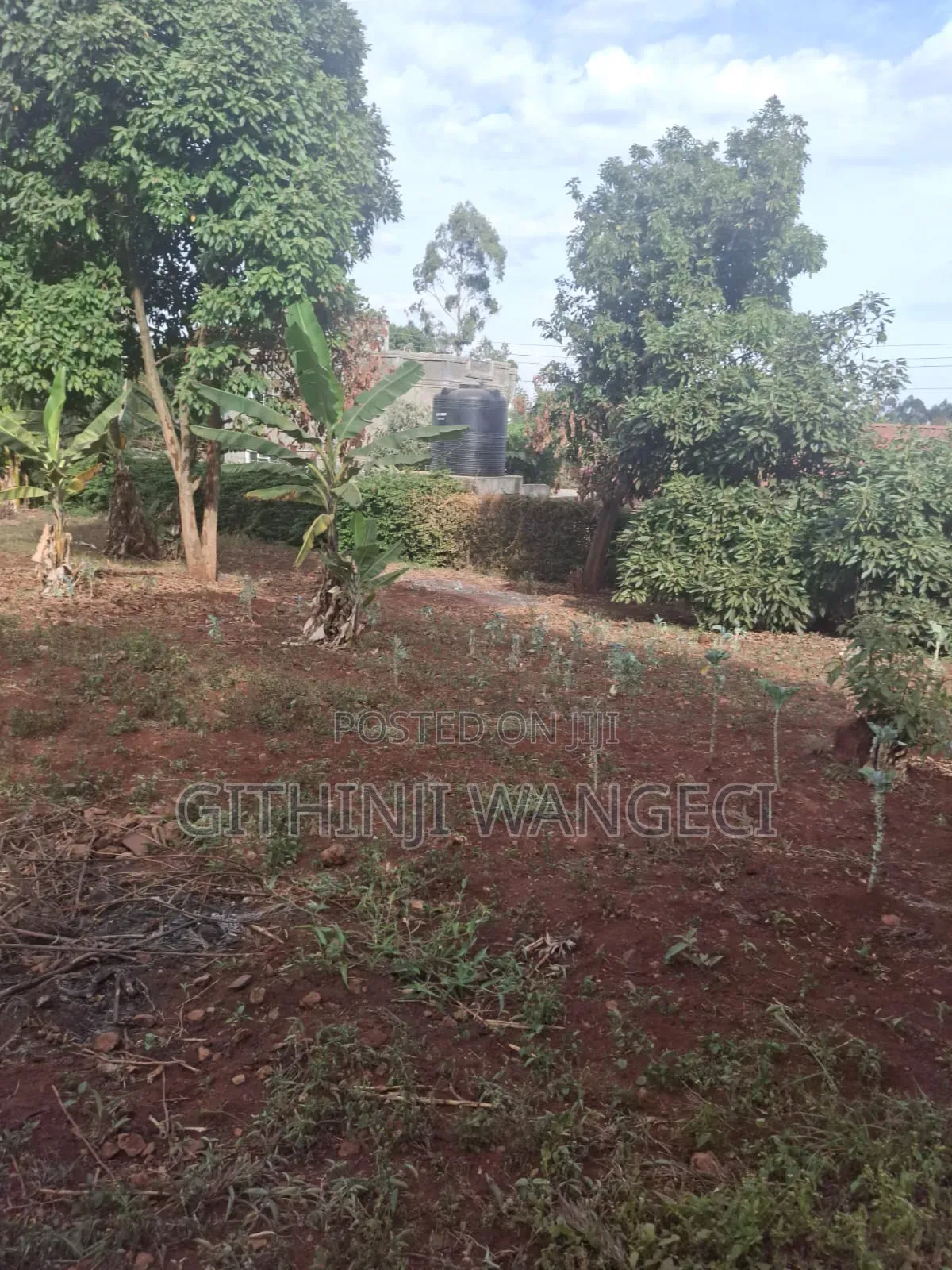 Plot for Sale in Ngong in Kibiku