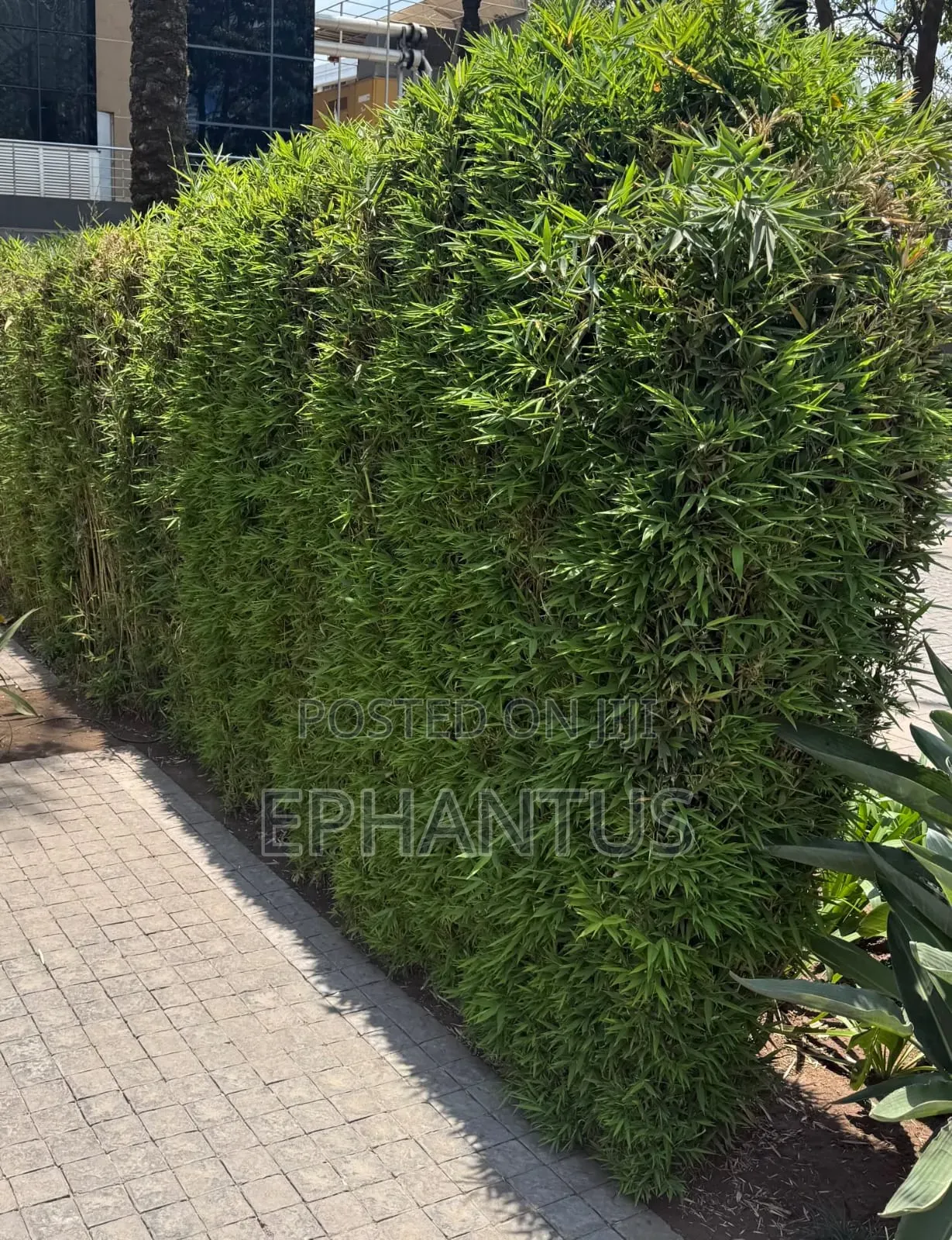 1/2 Acre Kiambu Road in Runda