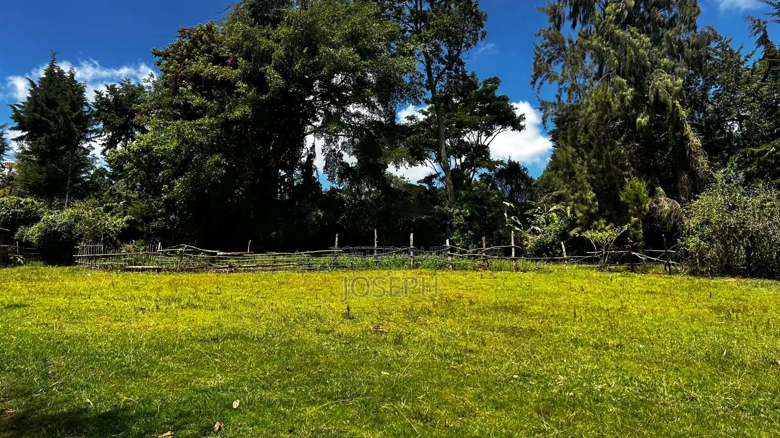 5bdrm Farm House in Tigoni for sale in Tigoni
