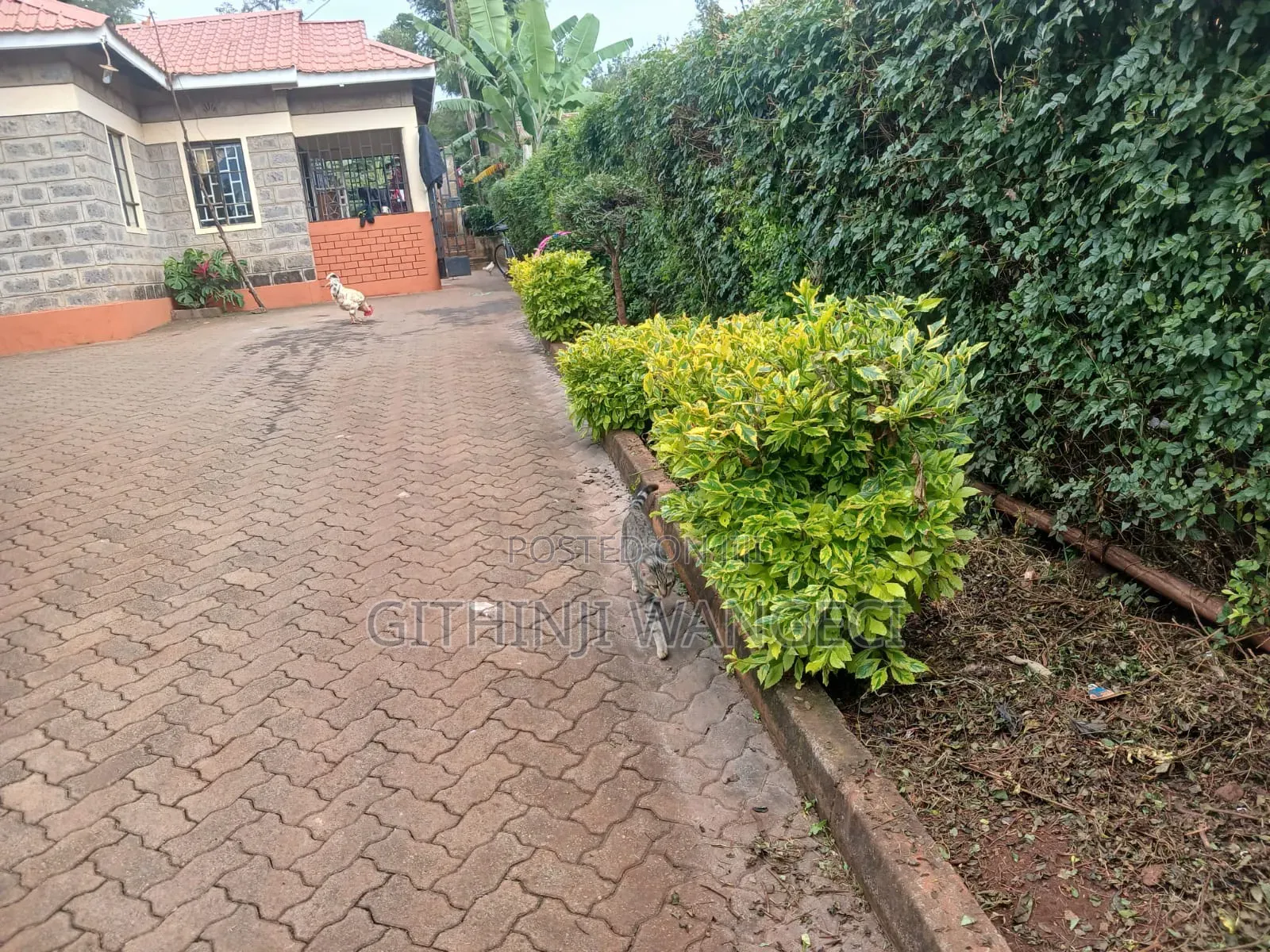 3bdrm Bungalow in Ololua, Oluulua for sale in Oluulua