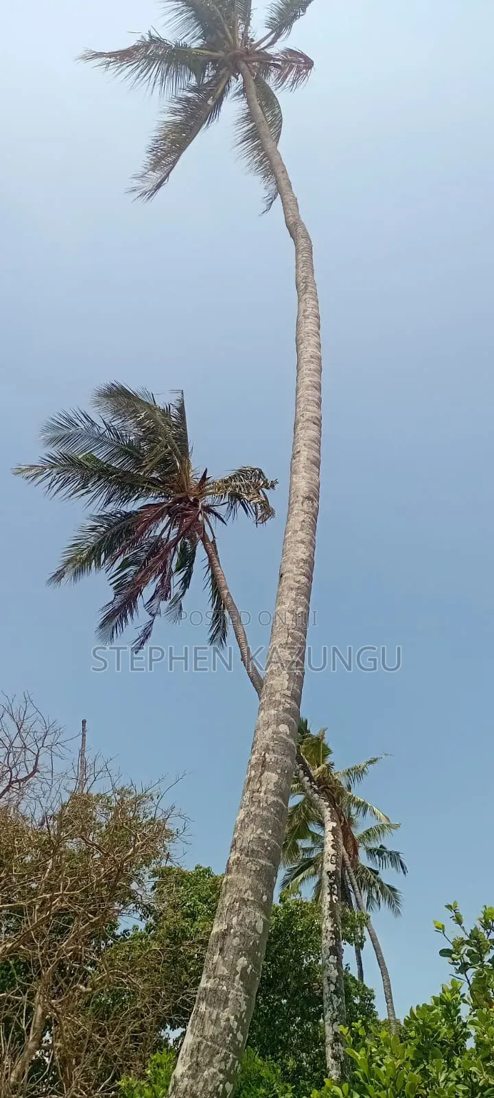 Water Touching 3.1/4 Acres Beach Plot at Galu Beach in Ukunda