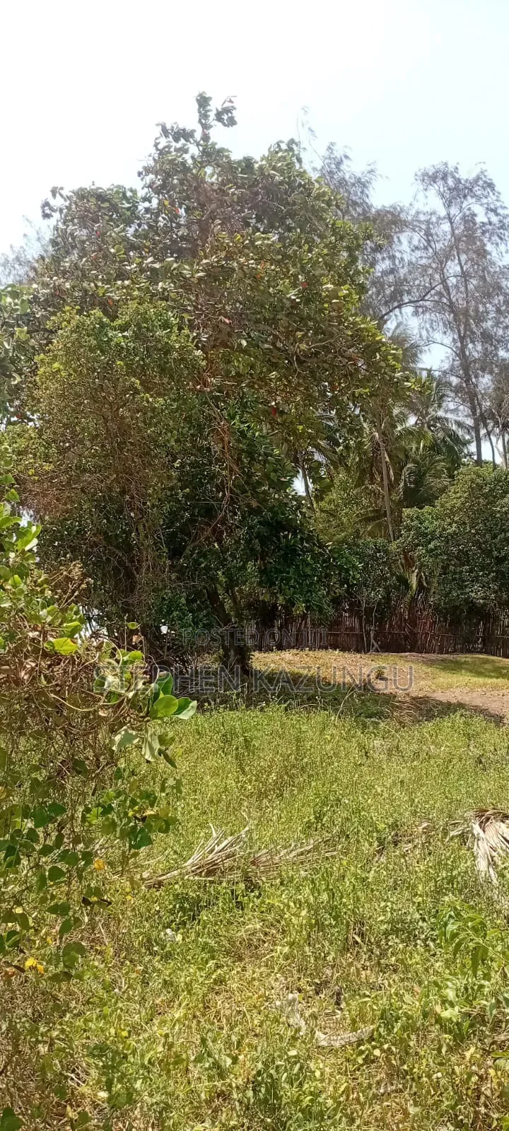 Water Touching 3.1/4 Acres Beach Plot at Galu Beach in Ukunda