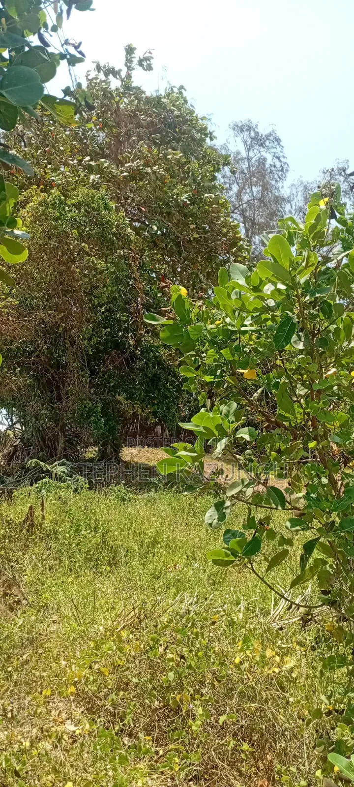 Water Touching 3.1/4 Acres Beach Plot at Galu Beach in Ukunda