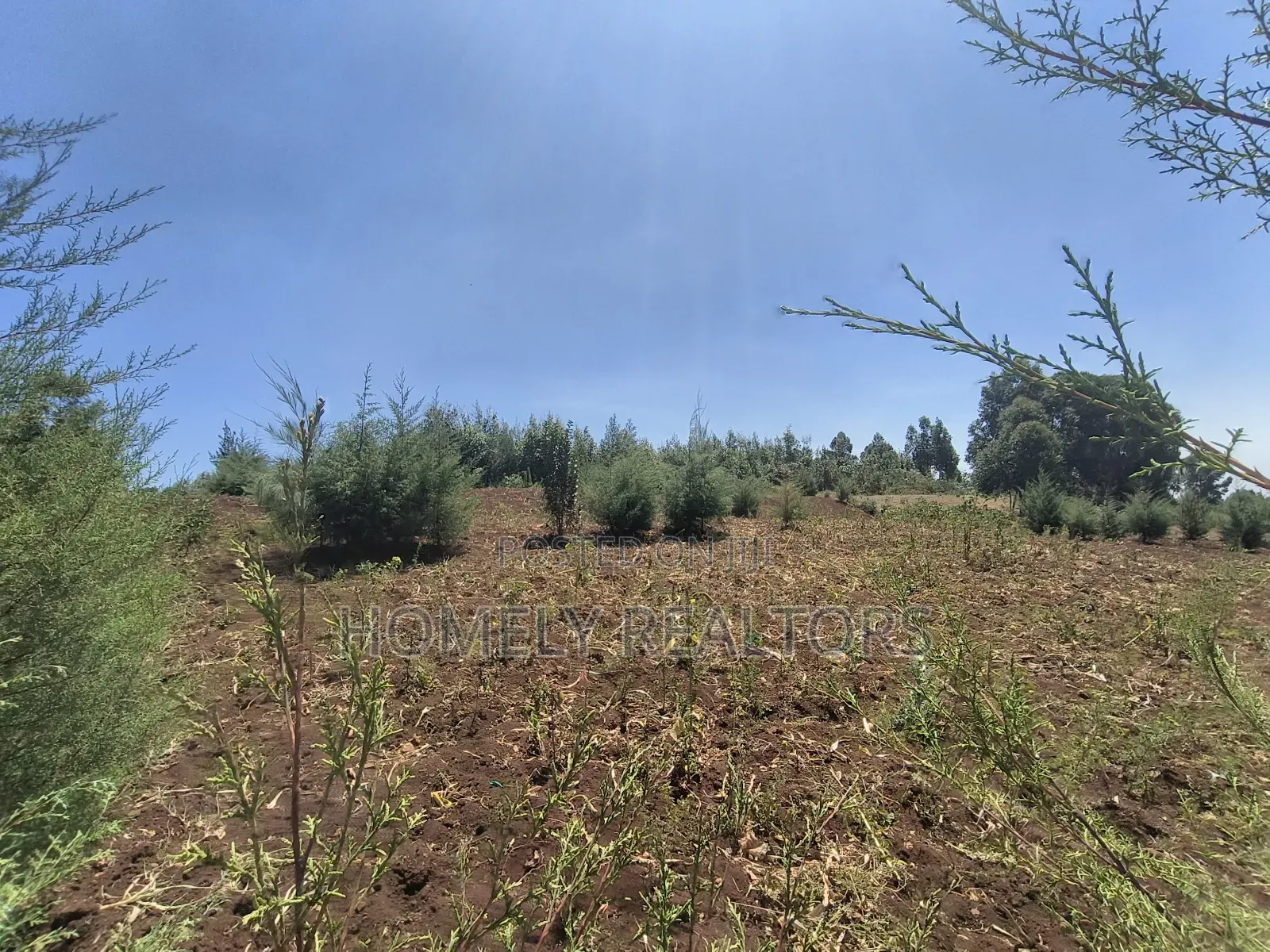 An Half Acre Plot for Sale in Kikuyu Along Ondiri-Nderi Road in Kikuyu