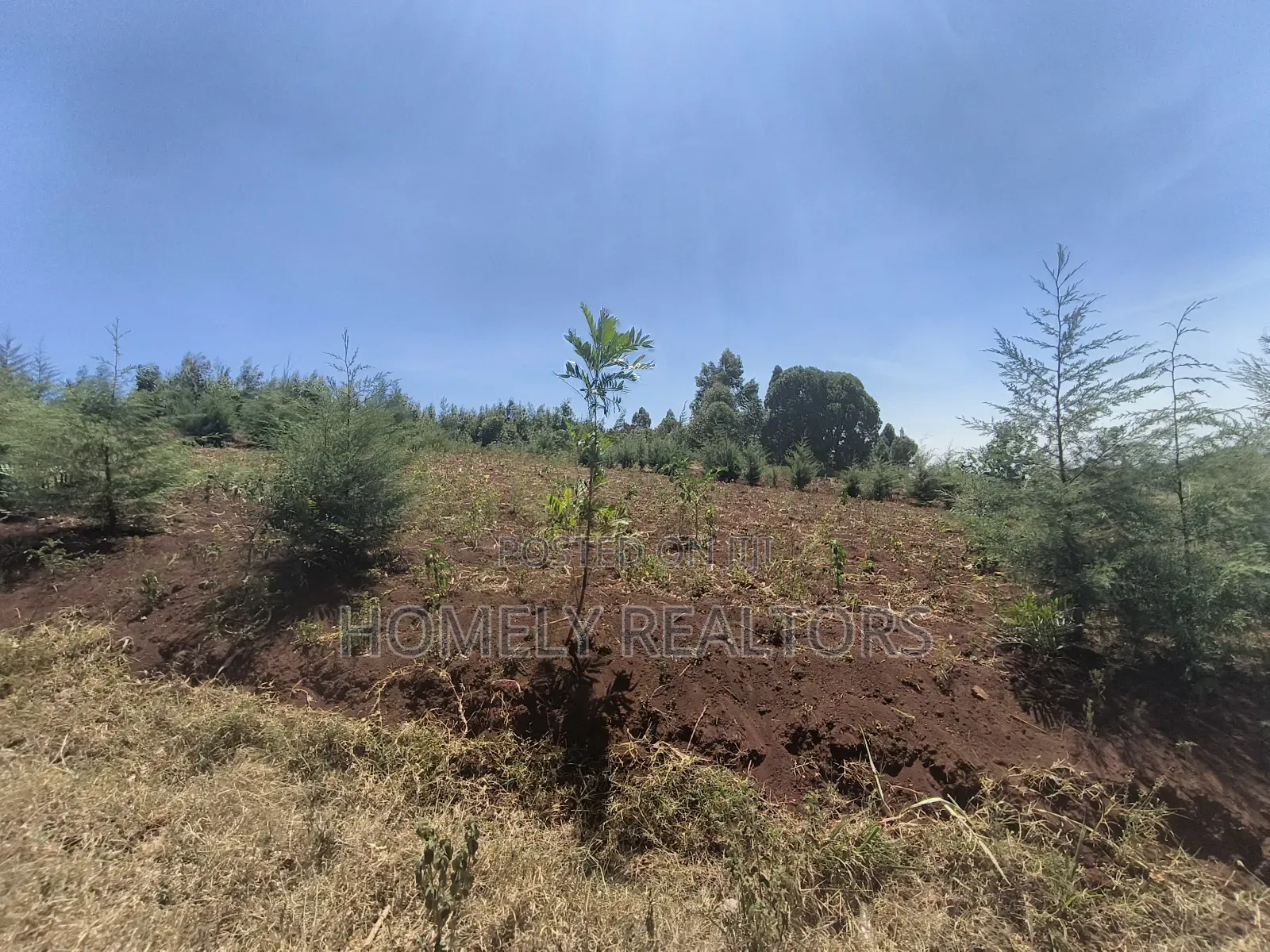 An Half Acre Plot for Sale in Kikuyu Along Ondiri-Nderi Road in Kikuyu