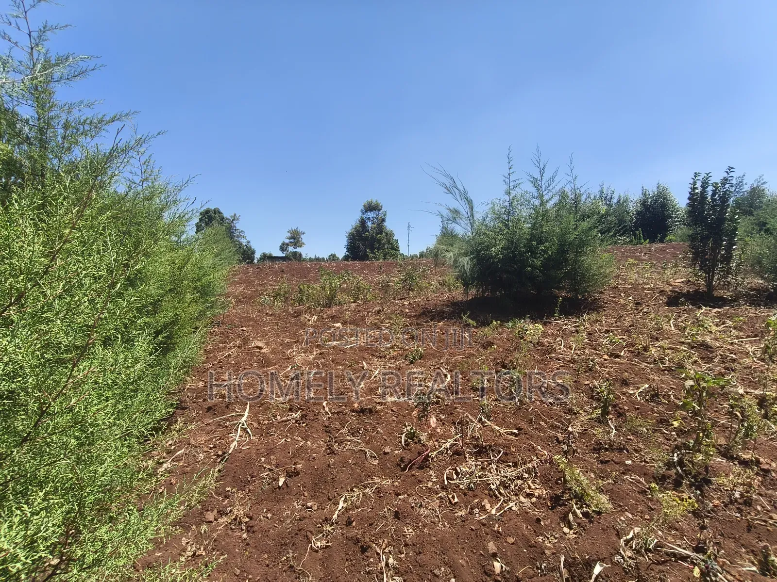 An Half Acre Plot for Sale in Kikuyu Along Ondiri-Nderi Road in Kikuyu
