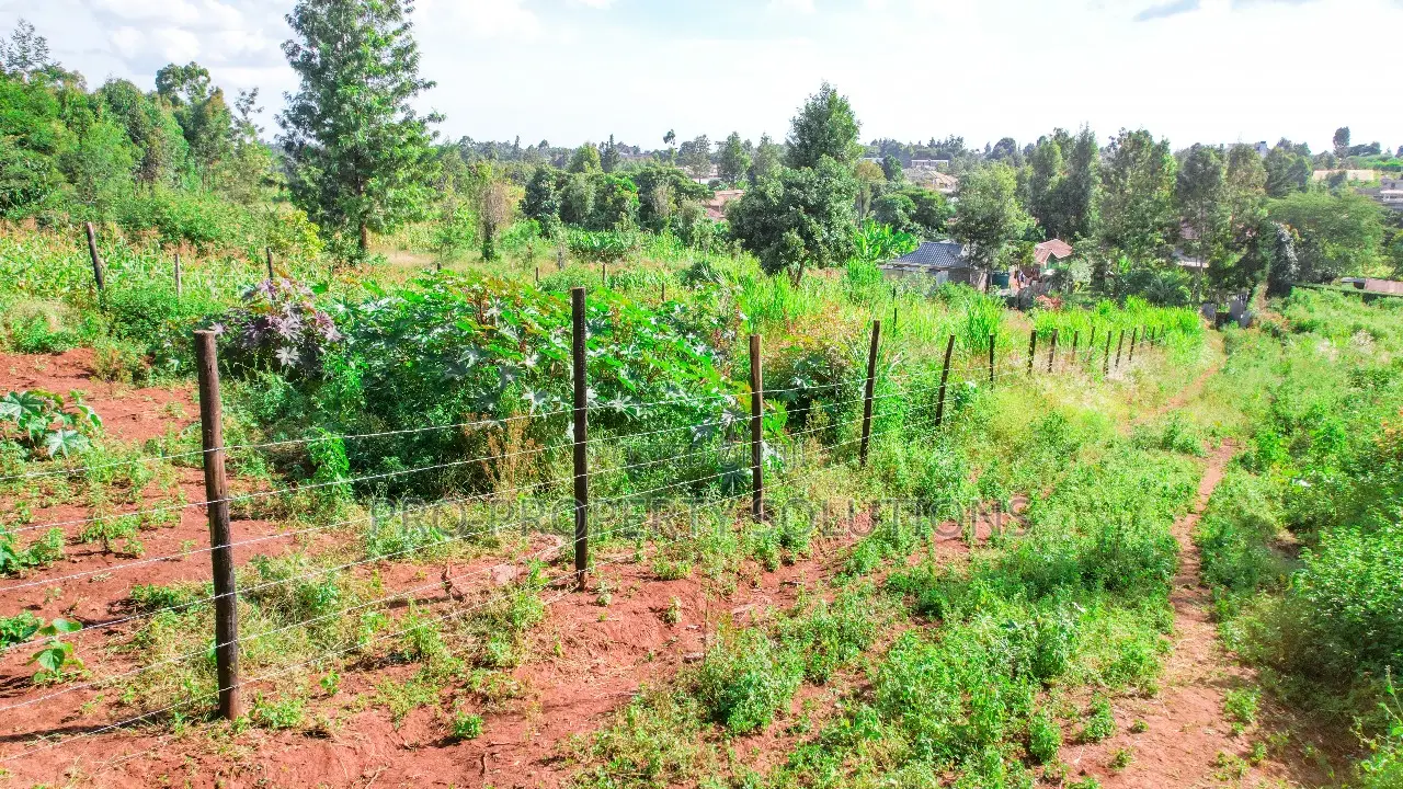 Prime Residential Plot for Sale in Kikuyu, Gikambura - Jambu Tv in Kikuyu