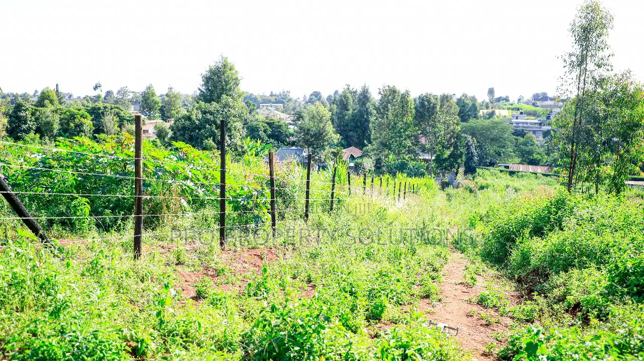 Prime Residential Plot for Sale in Kikuyu, Gikambura - Jambu Tv in Kikuyu