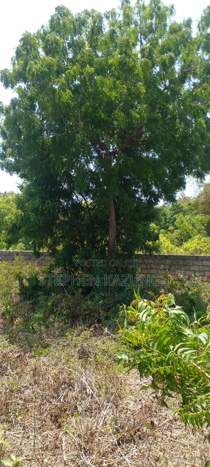 Galu Beach Plot 2 1/4 Acre Plot at a White Sandy at Galu. in Ukunda