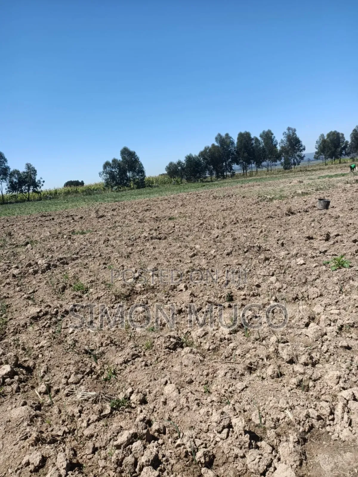 Nyandarua Ndunyu Njeru Nyakio Prime Agricultural 1 Acre in Engineer