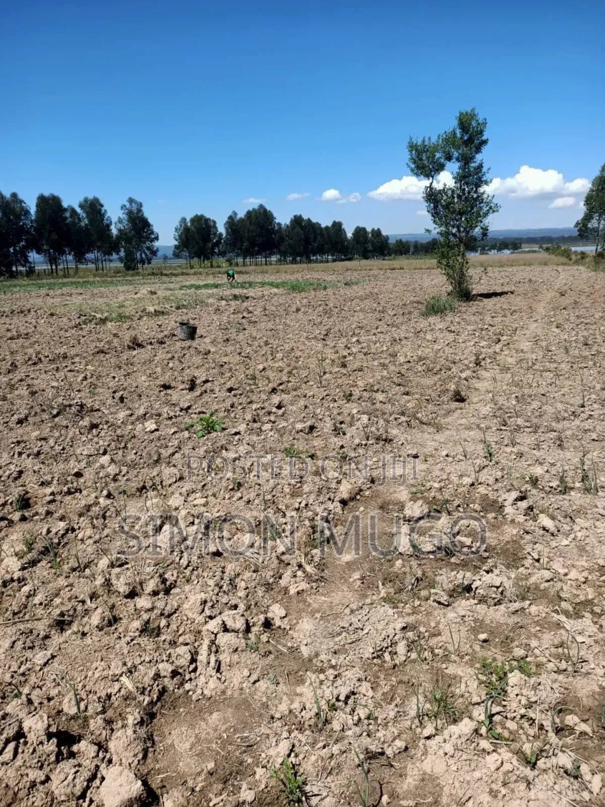 Nyandarua Ndunyu Njeru Nyakio Prime Agricultural 1 Acre in Engineer