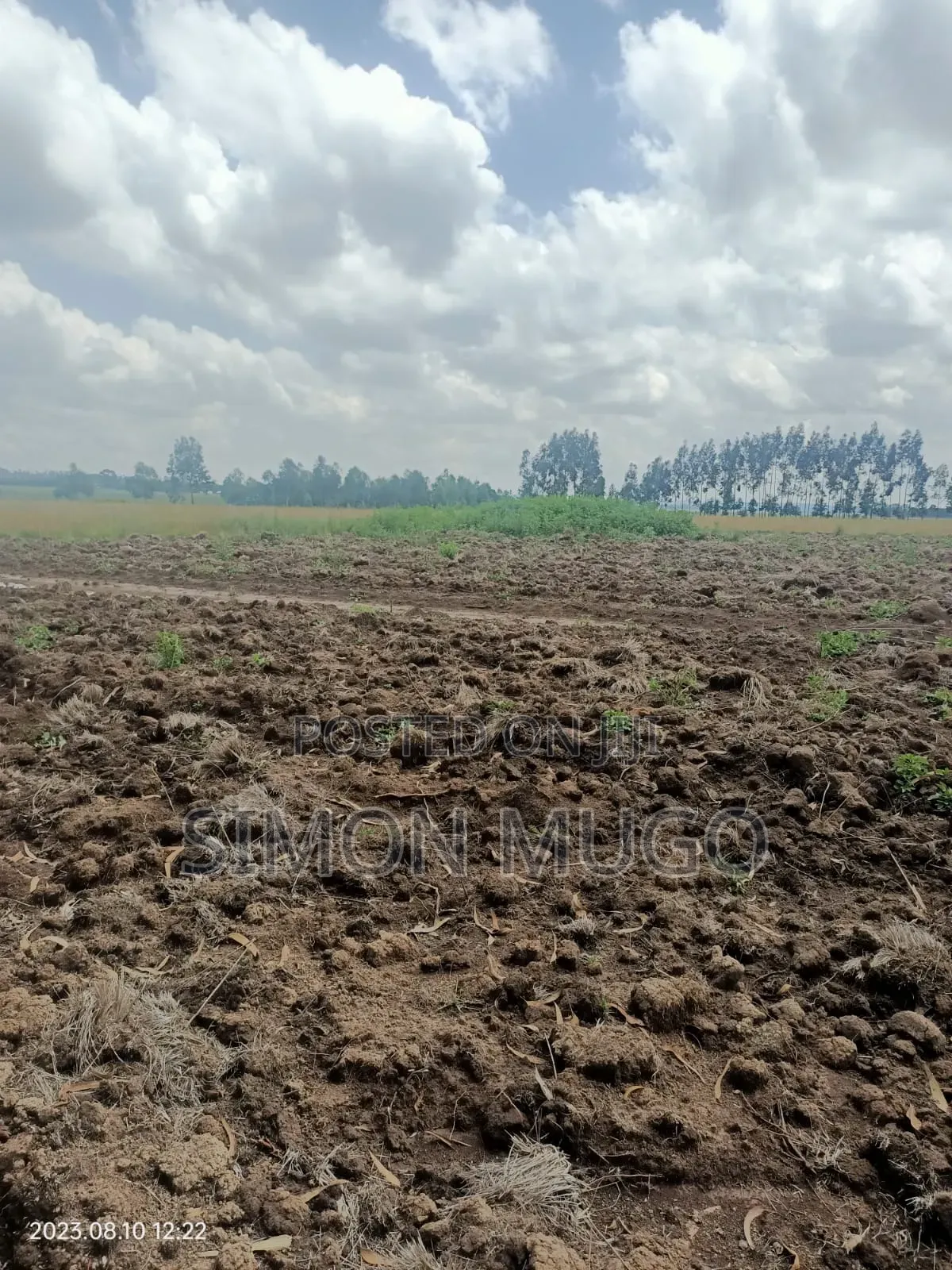 Nyandarua Ndunyu Njeru Nyakio Prime Agricultural 1 Acre in Engineer