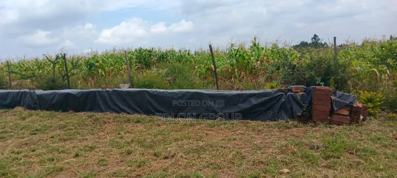 Weteithie Creek Plots for Sale in Witethie