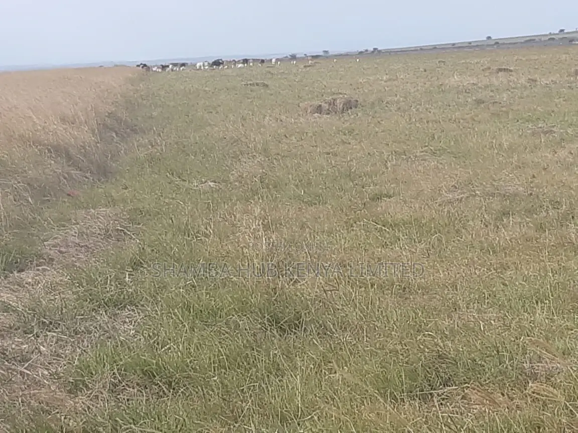 100 Acres of Land – Nkorkorri in Narok in Ololulung'A