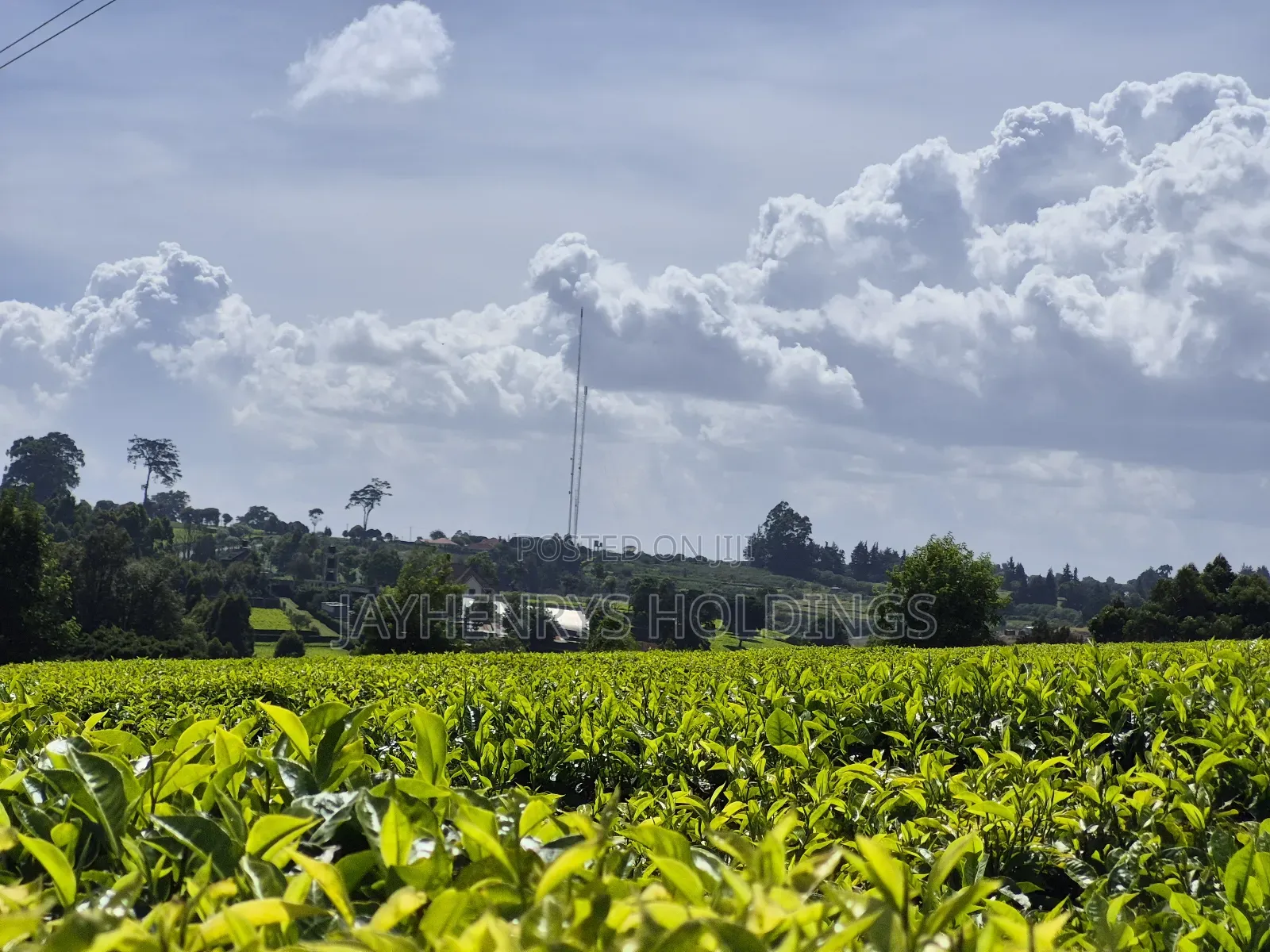 Land for Sale in Riara Ridge,Tigoni in Tigoni