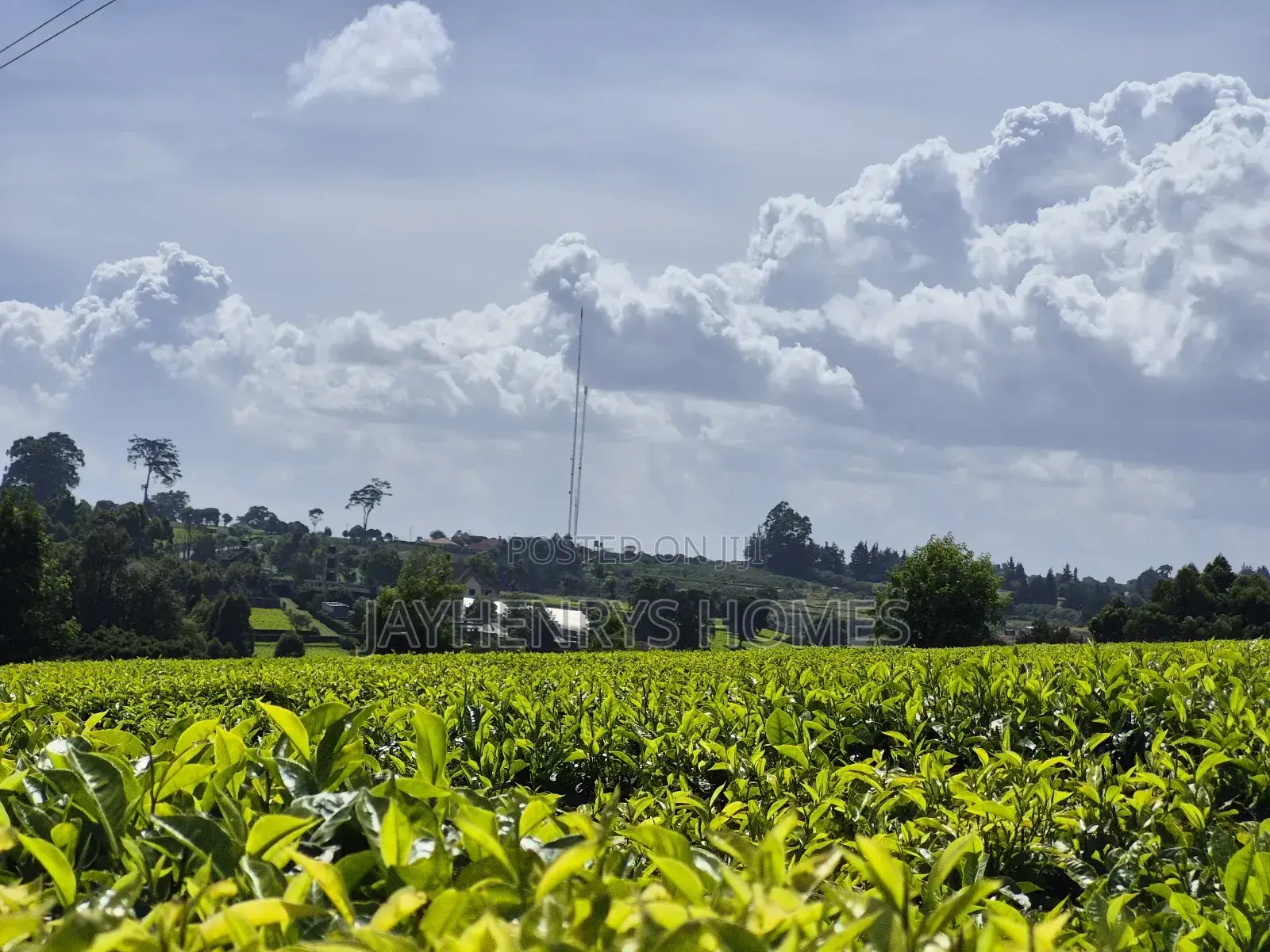 Land for Sale in Riara Ridge,Tigoni in Tigoni