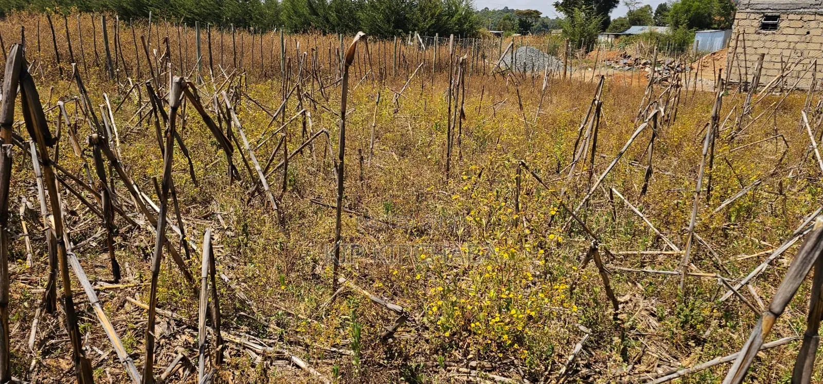 Plot for Sale in Illula Eldoret Behind Shopping Centre in Illula