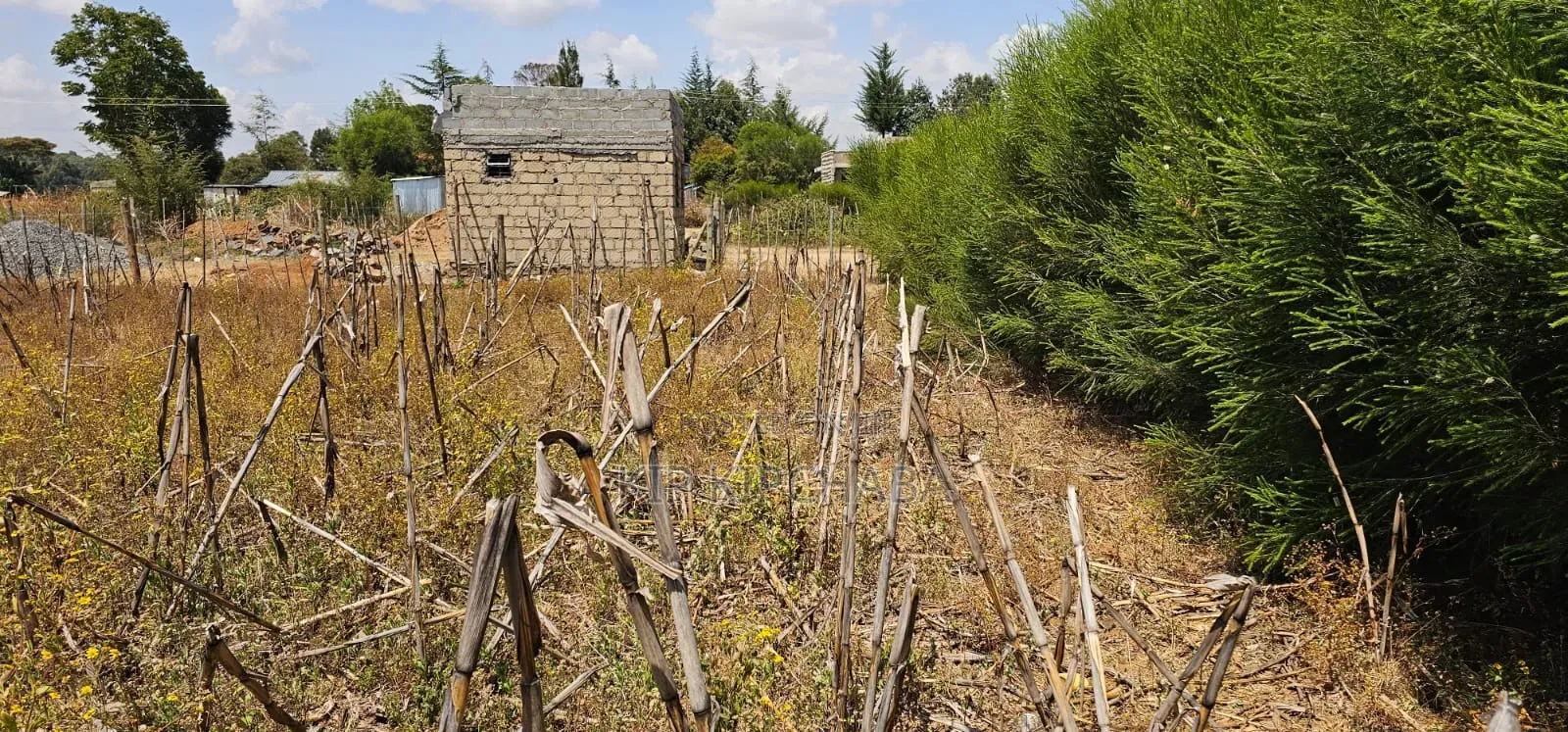 Plot for Sale in Illula Eldoret Behind Shopping Centre in Illula