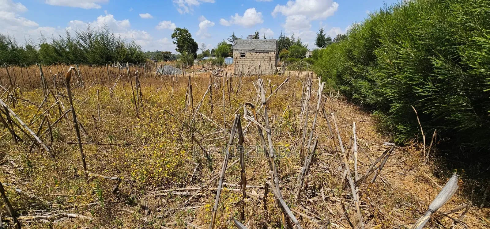 Plot for Sale in Illula Eldoret Behind Shopping Centre in Illula