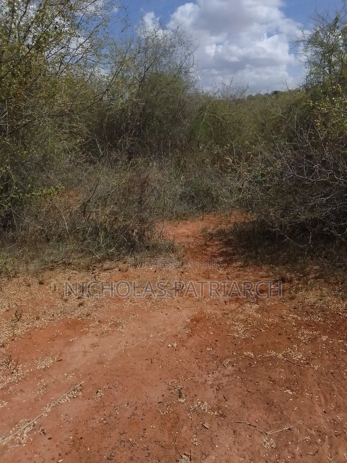 14 Acres Kathonzweni-Makueni Selling at Per Acre. in Kathonzweni