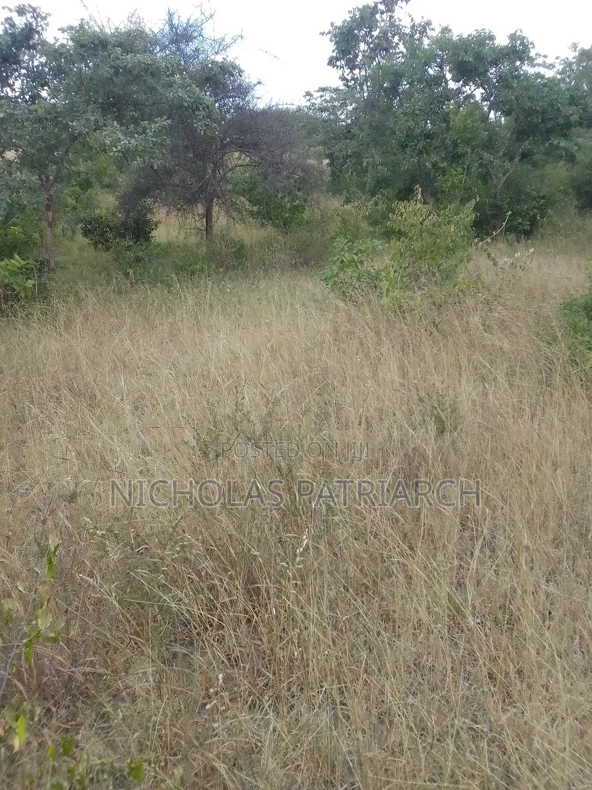 3 Acres Masii -Machakos County Selling at 1 5m Per Acre in Masii