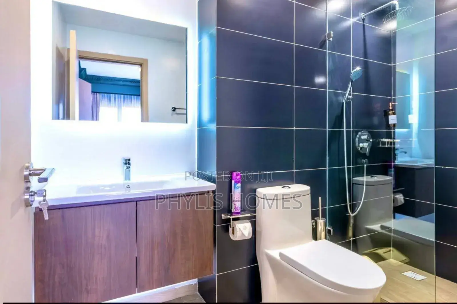 Cosy and Lavish One Bedroom in South B in South B